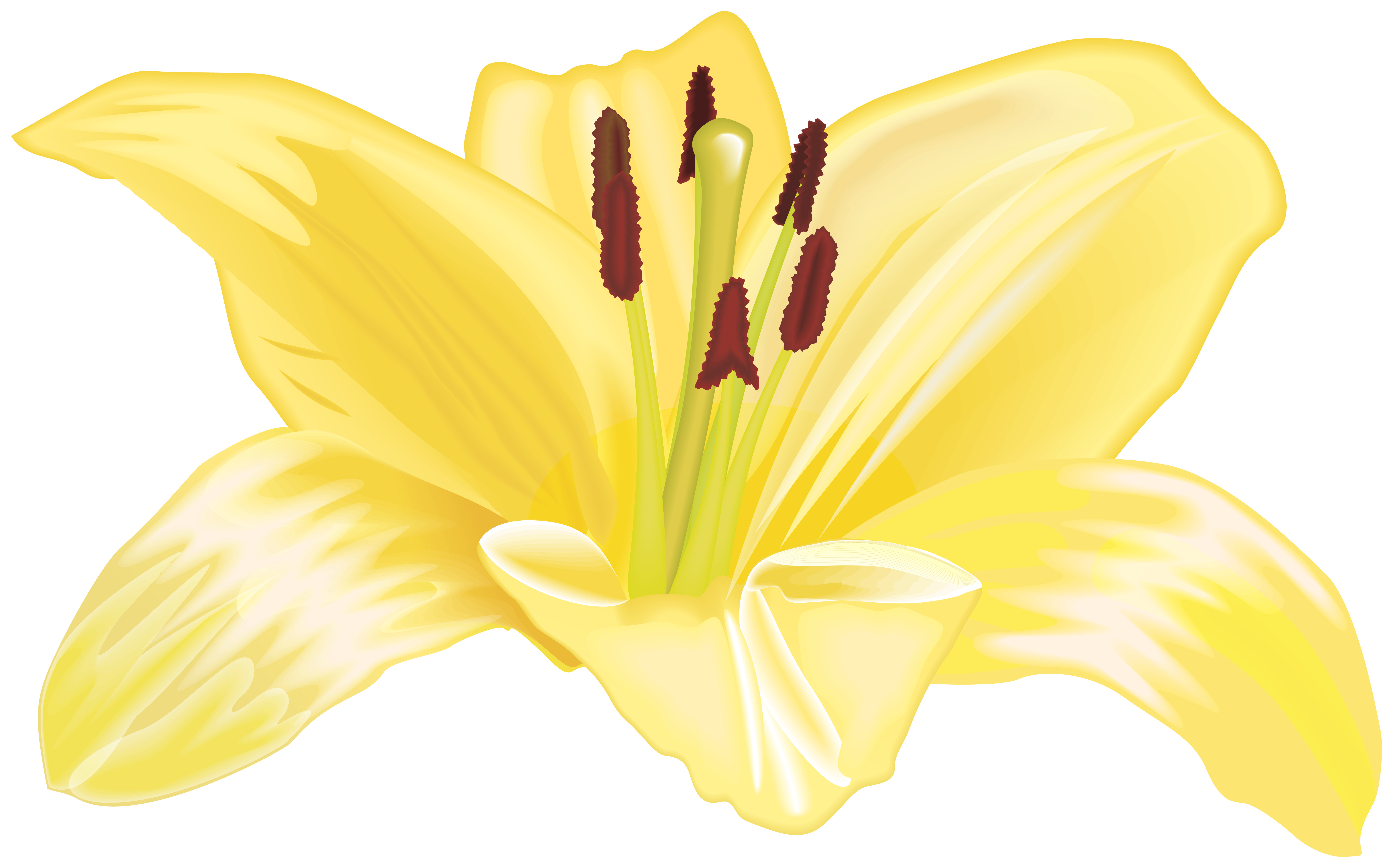Yellow Flower Large PNG Image | Gallery Yopriceville - High-Quality