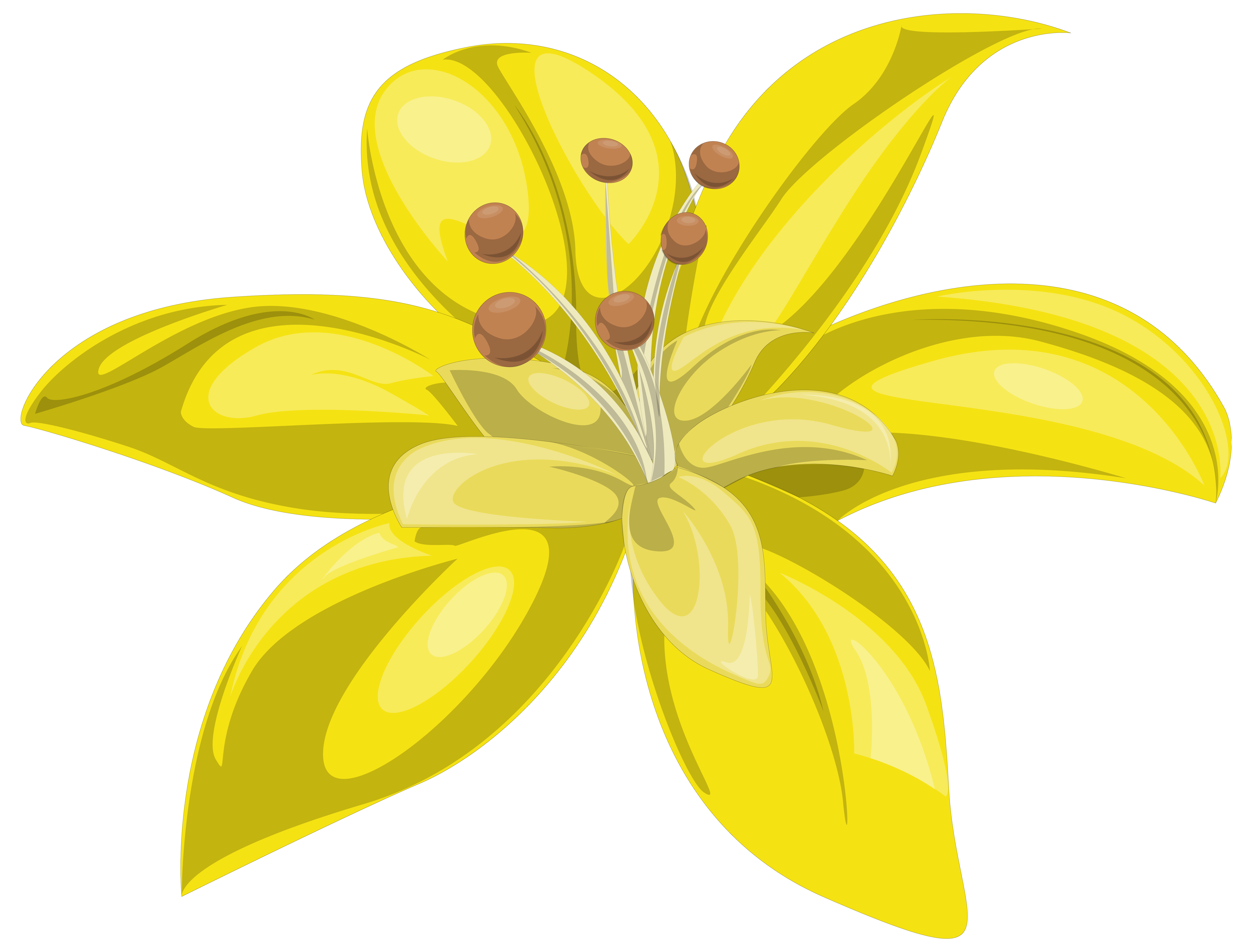 Yellow Flower PNG Image | Gallery Yopriceville - High-Quality Images