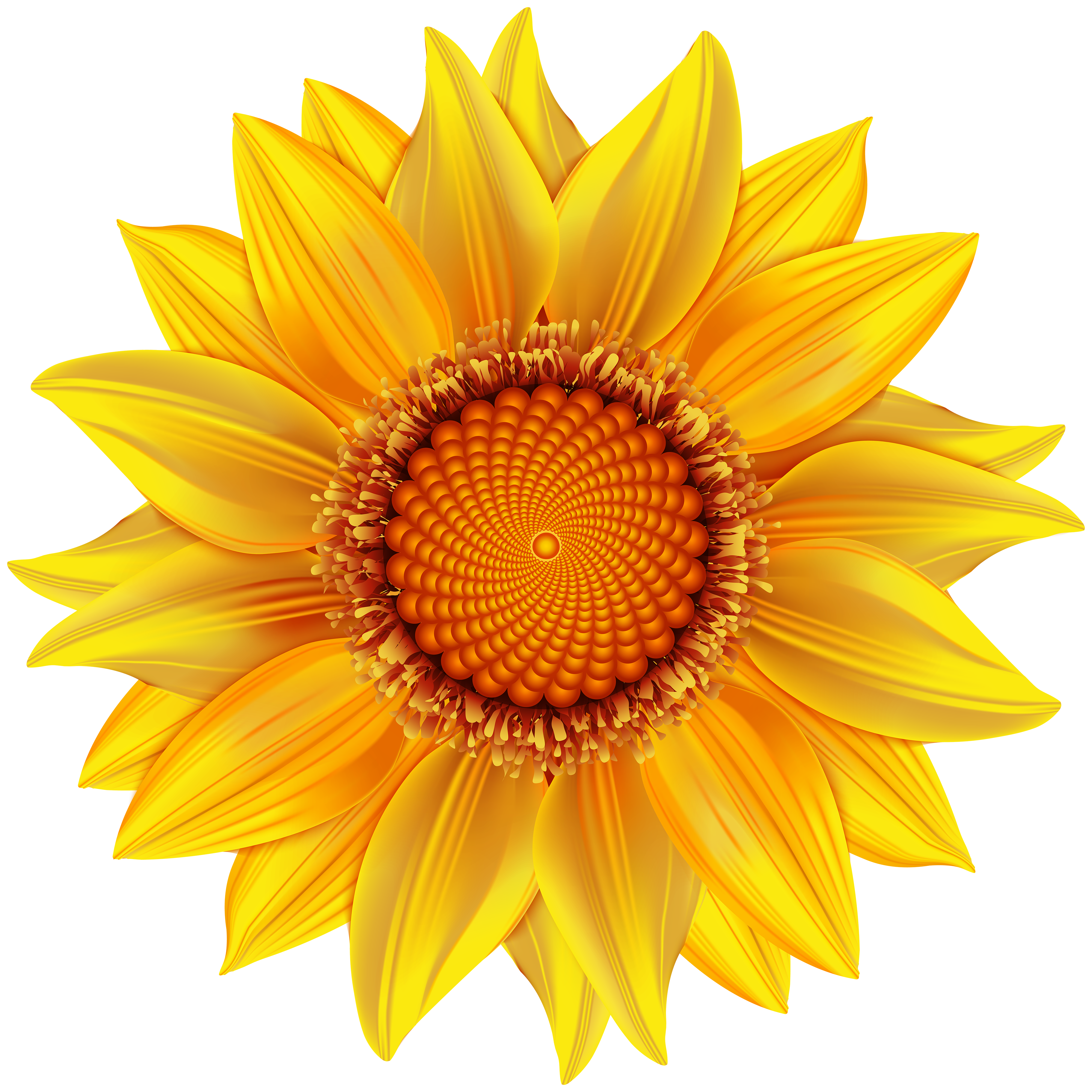 yellow flowers clipart