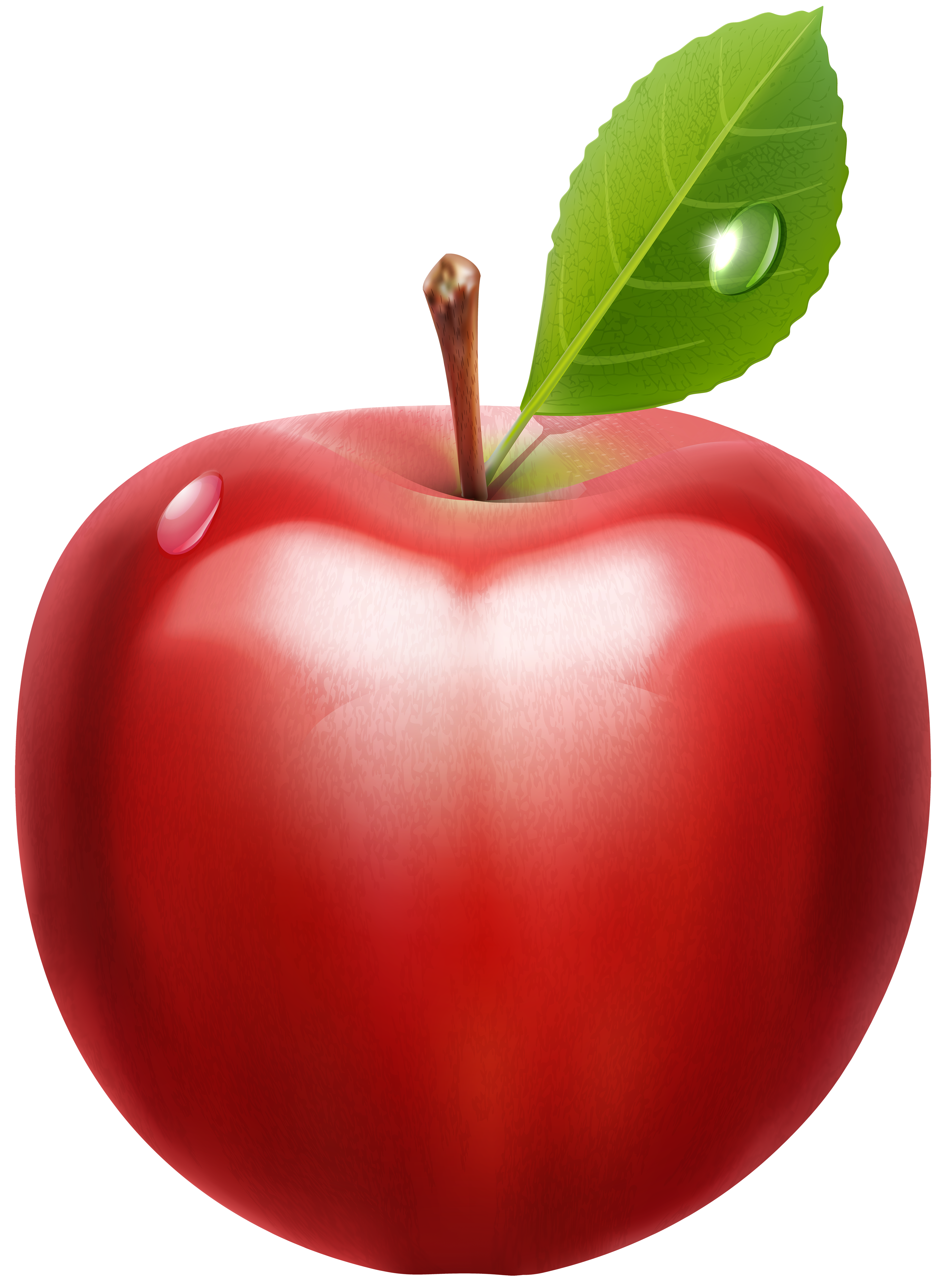 clip art apples