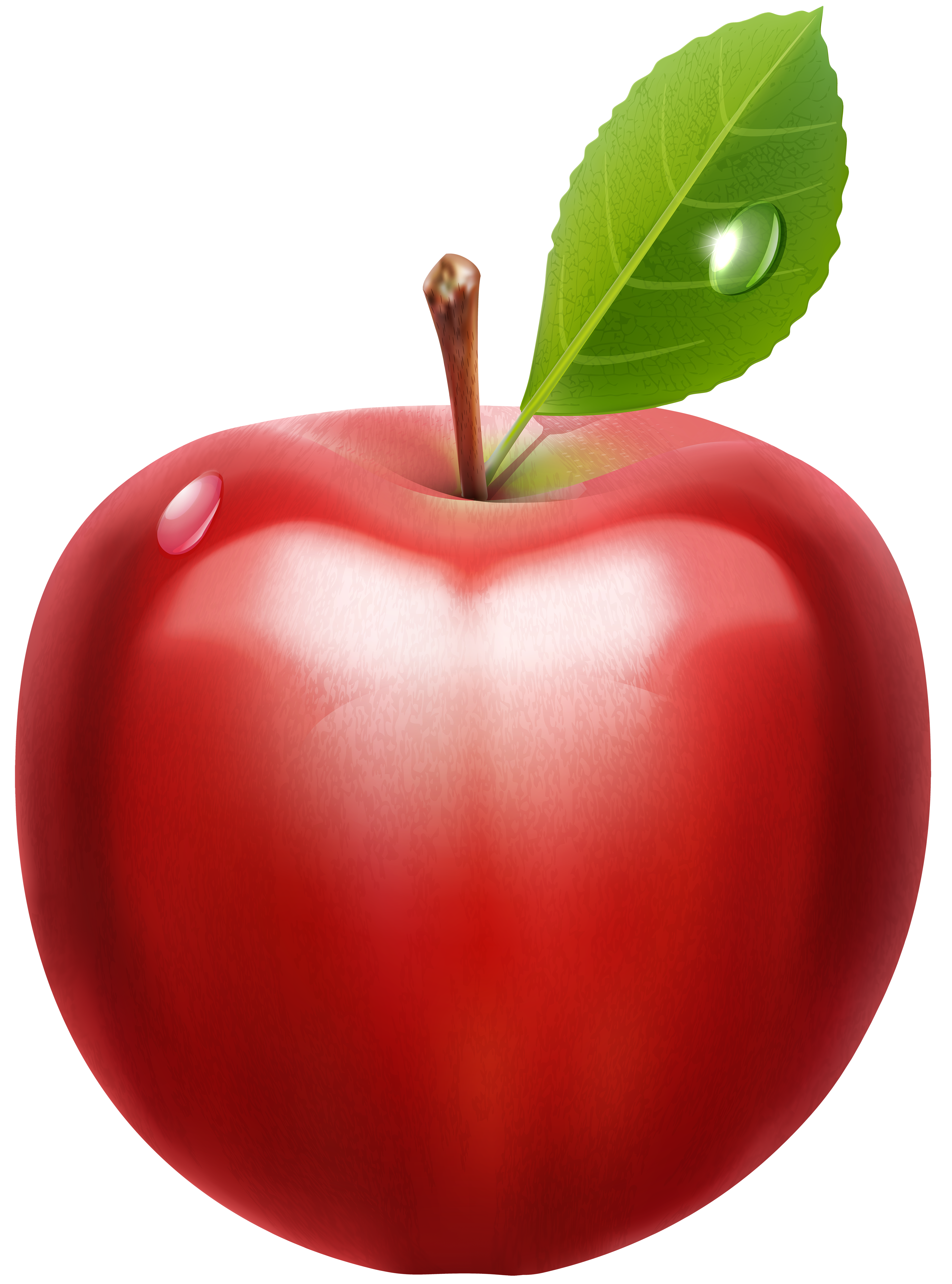 apple clip art png