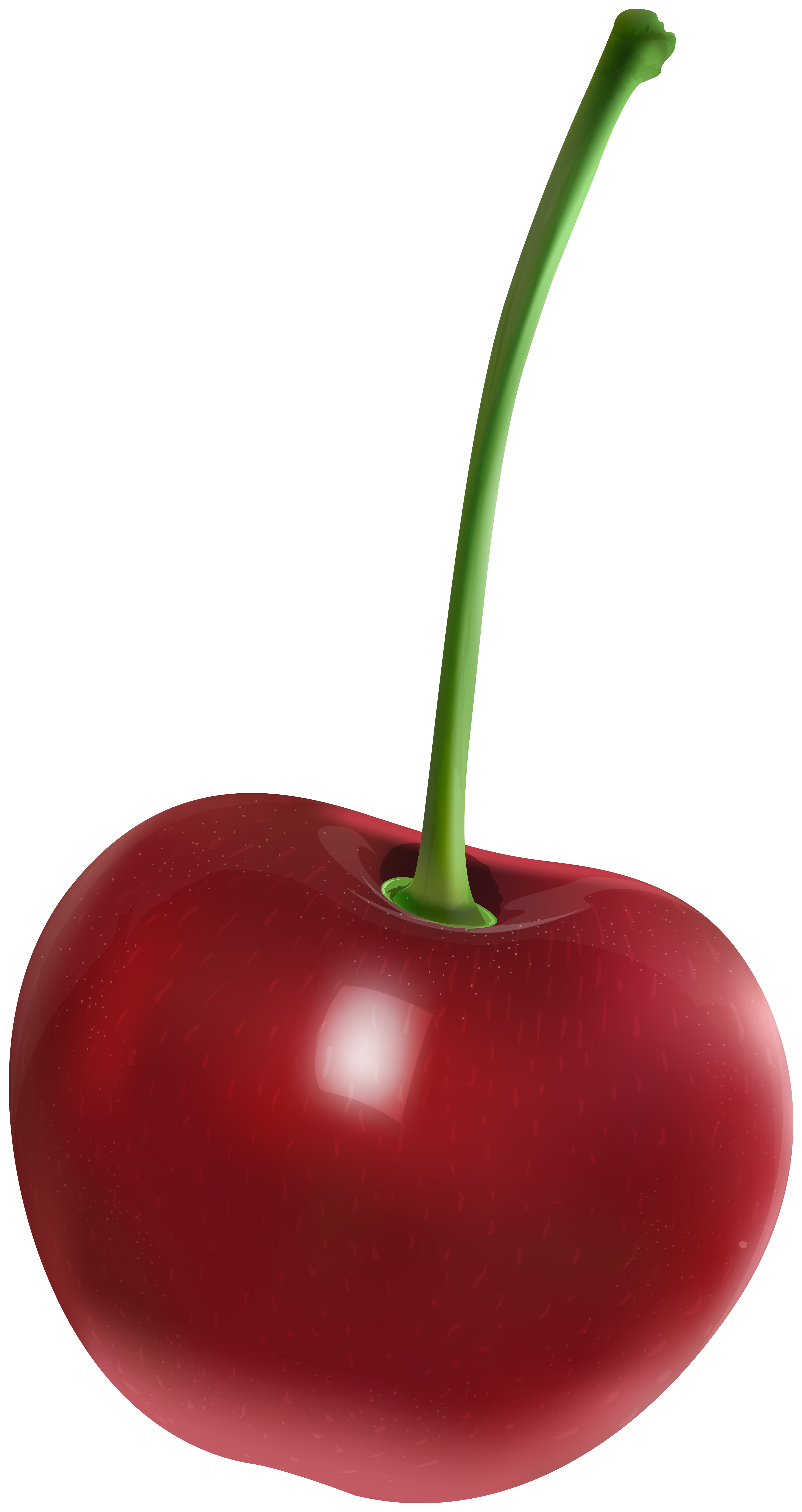 Cherry PNG Clipart | Gallery Yopriceville - High-Quality Free Images ...