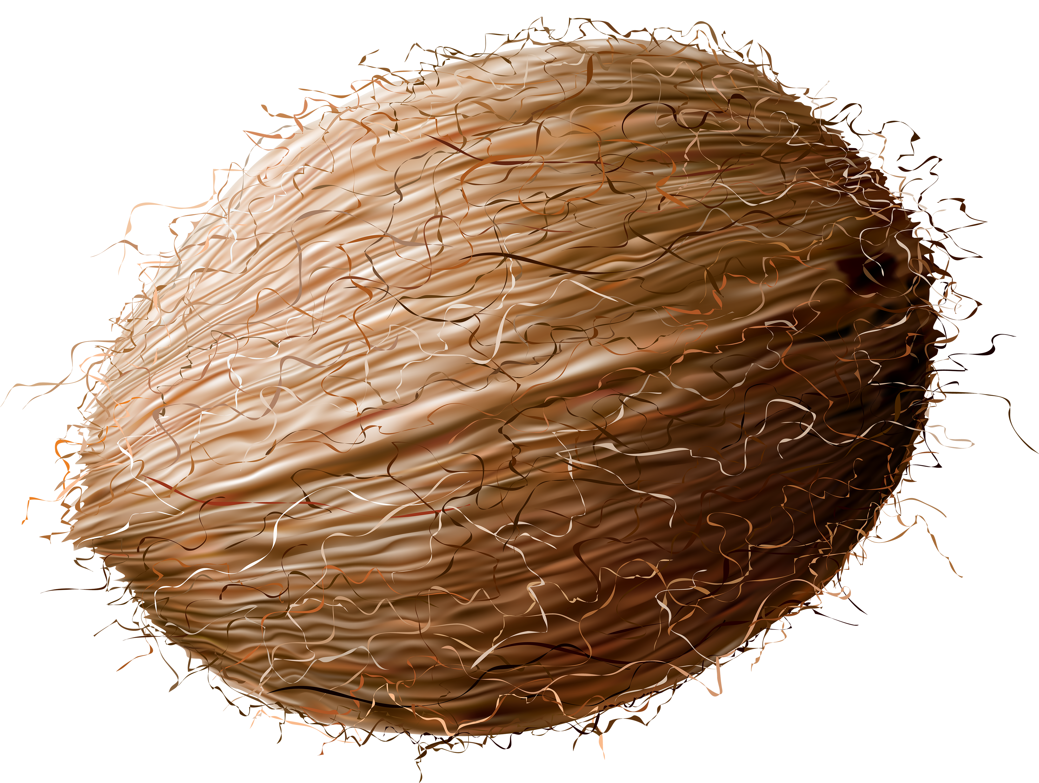 coconut png