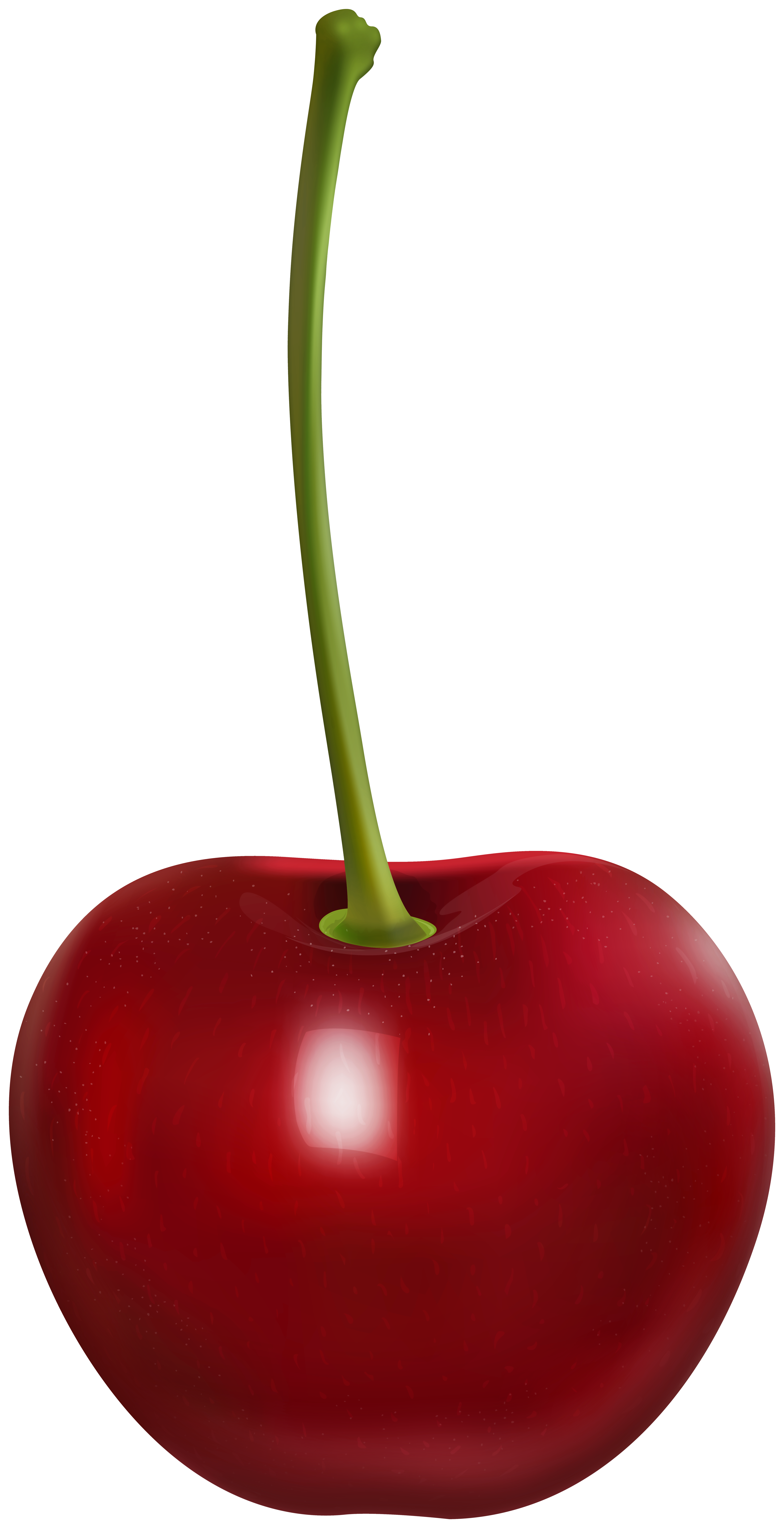Fresh Cherry PNG Clipart | Gallery Yopriceville - High-Quality Free ...