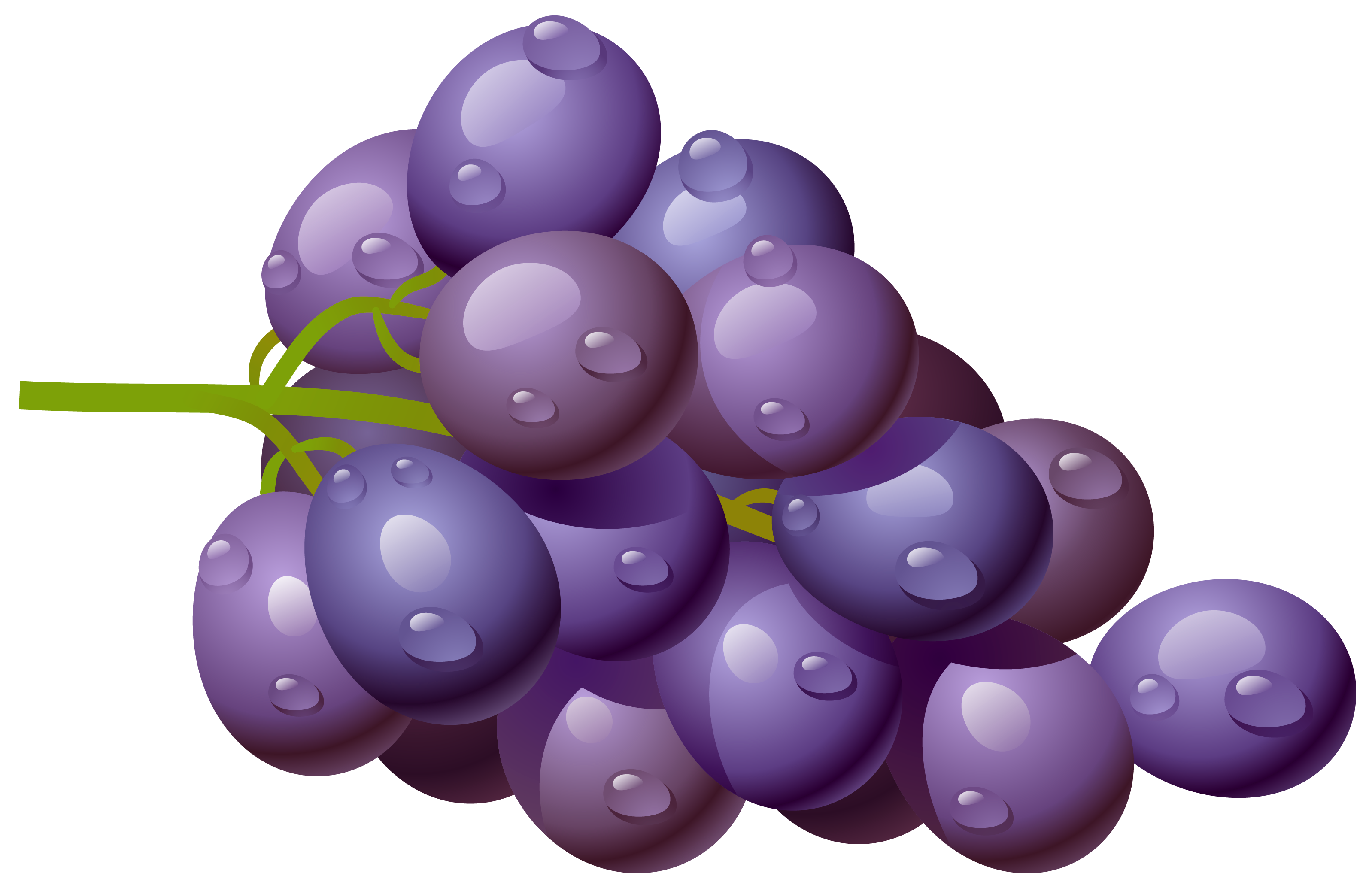 Grape PNG Clipart Picture | Gallery Yopriceville - High ... (3196 x 2083 Pixel)