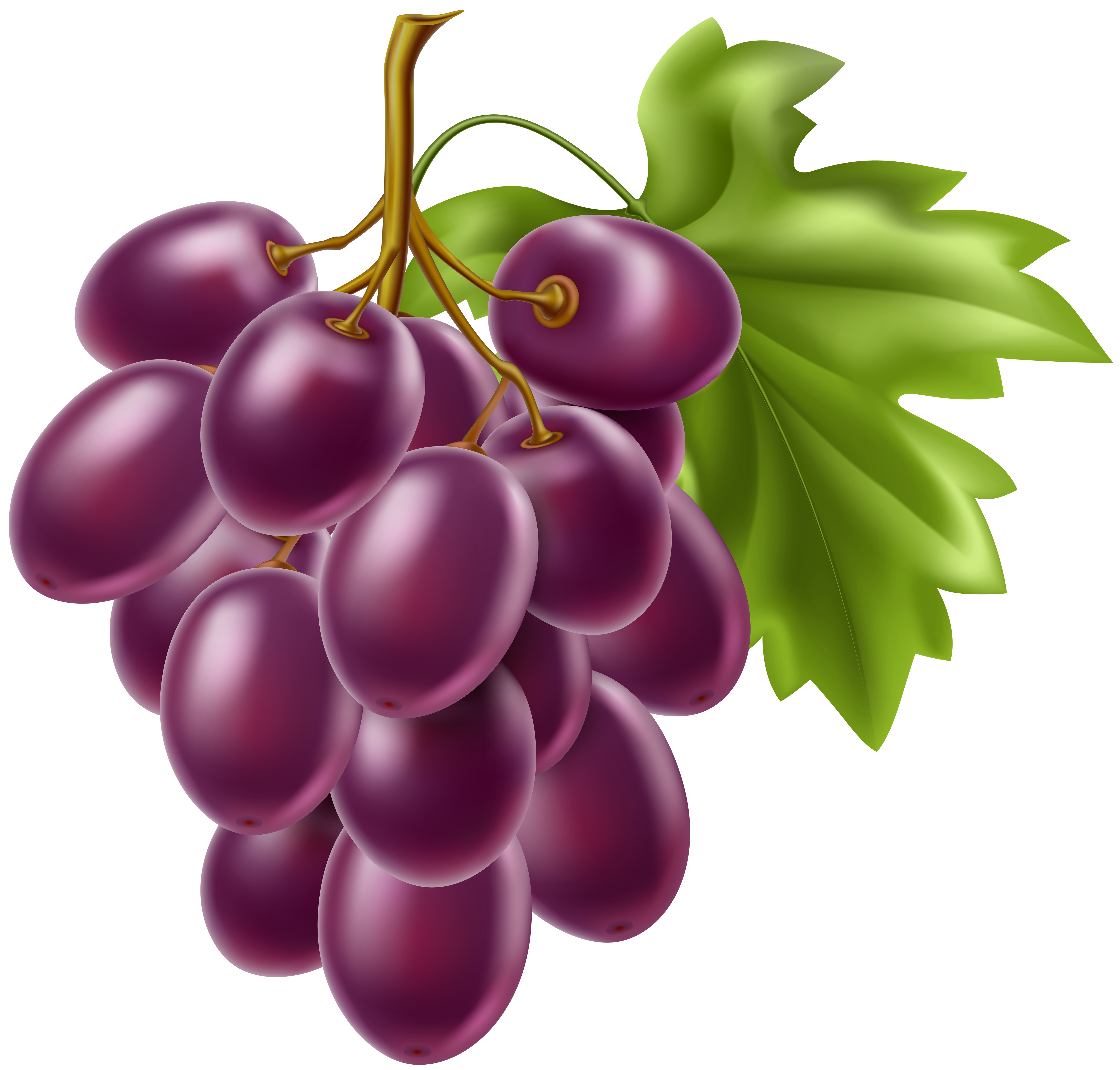 Grapes Fruit PNG Clipart | Gallery Yopriceville - High ...