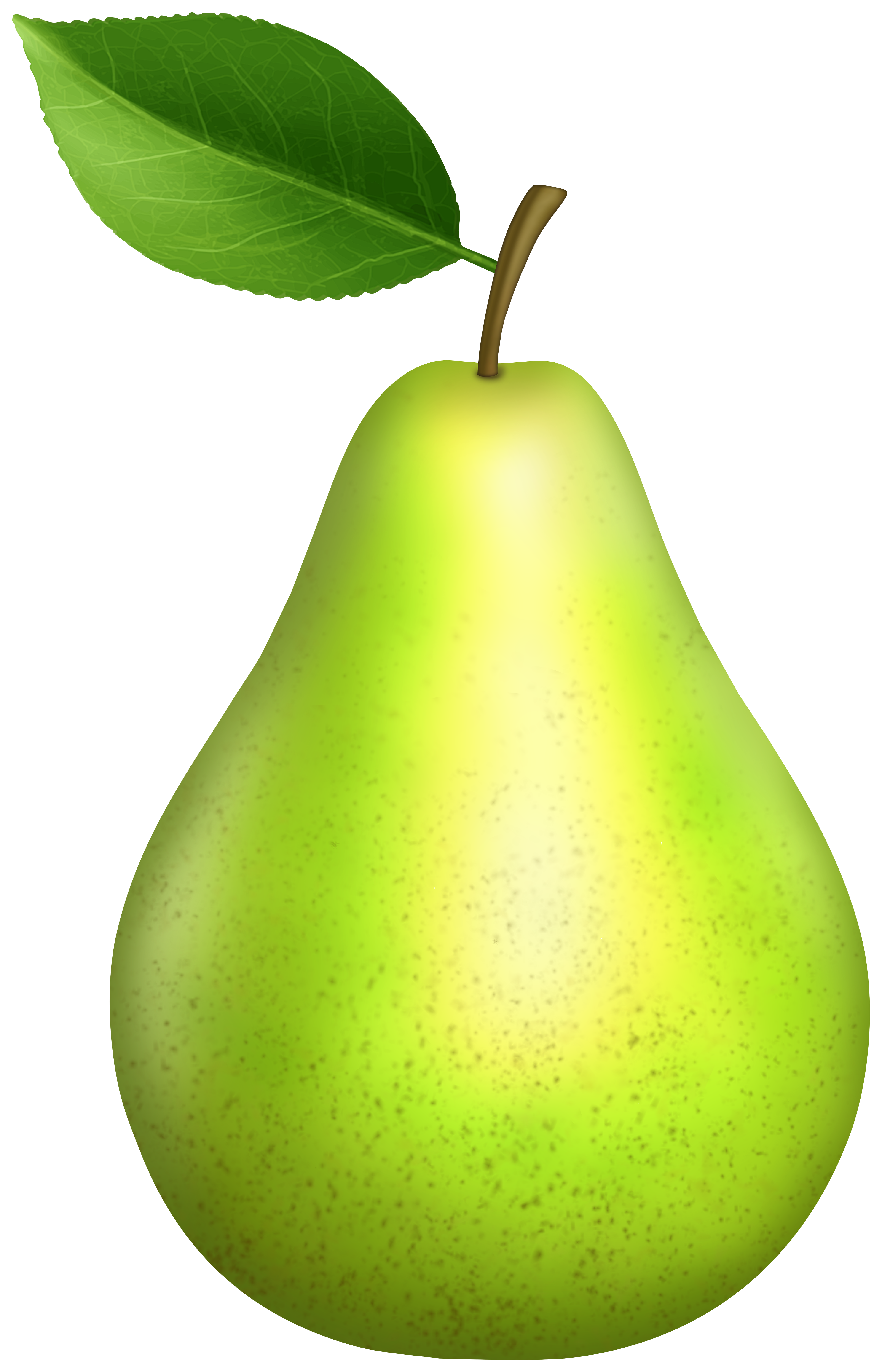 Green Pear PNG Clipart | Gallery Yopriceville - High-Quality Images and