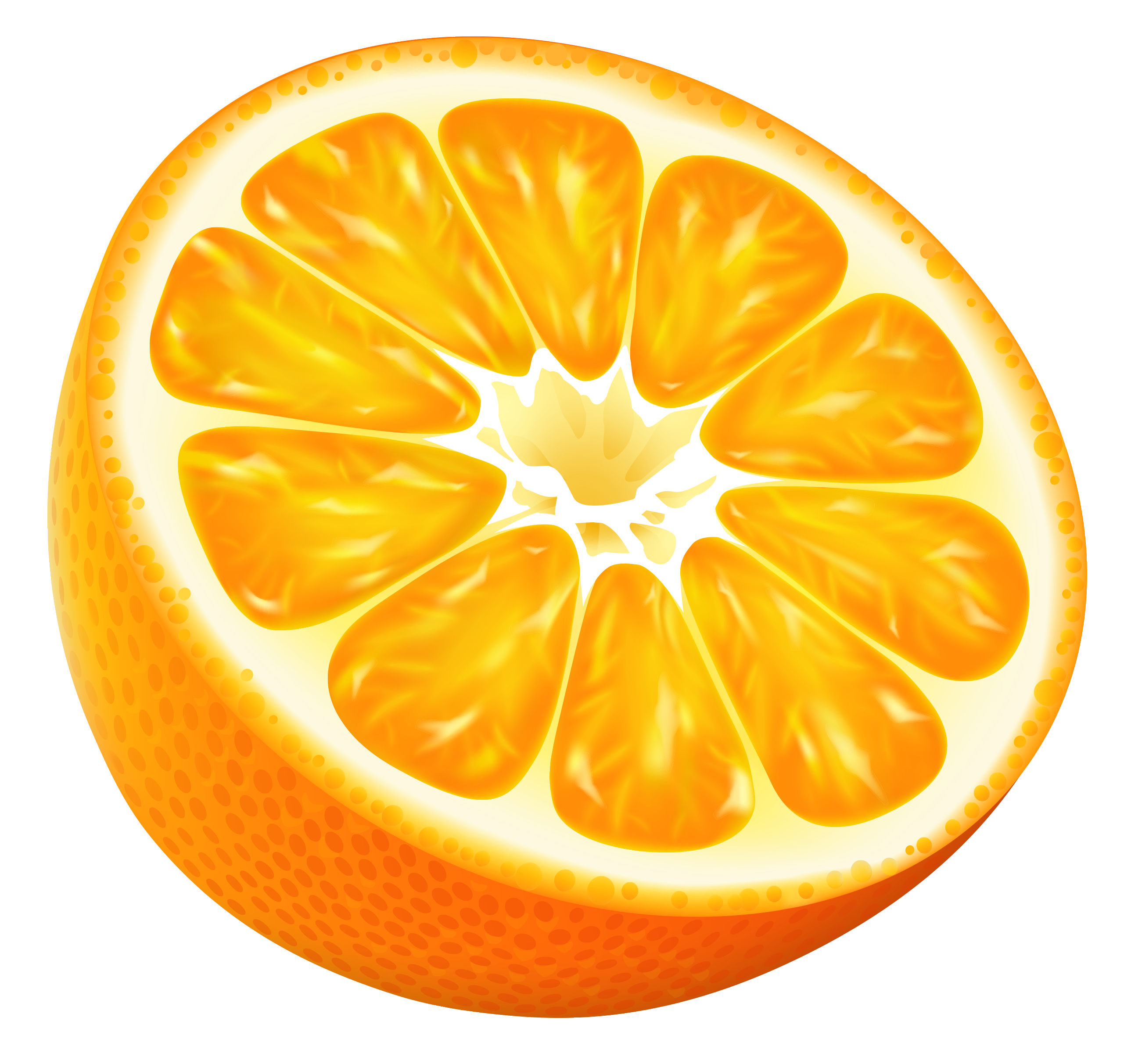  Half  Orange  PNG Vector Clipart Image Gallery 