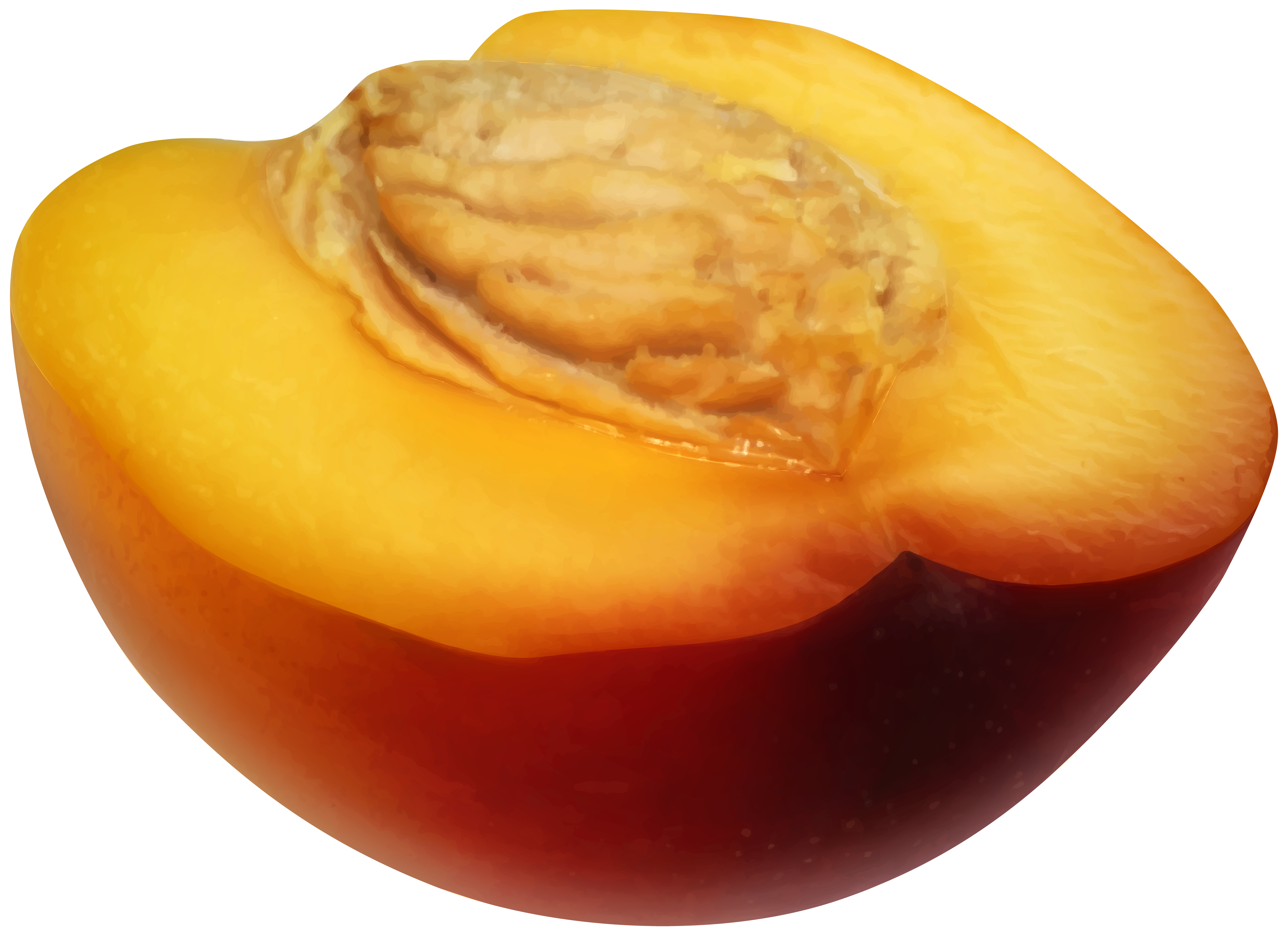 Half Peach Transparent PNG Clip Art | Gallery Yopriceville - High