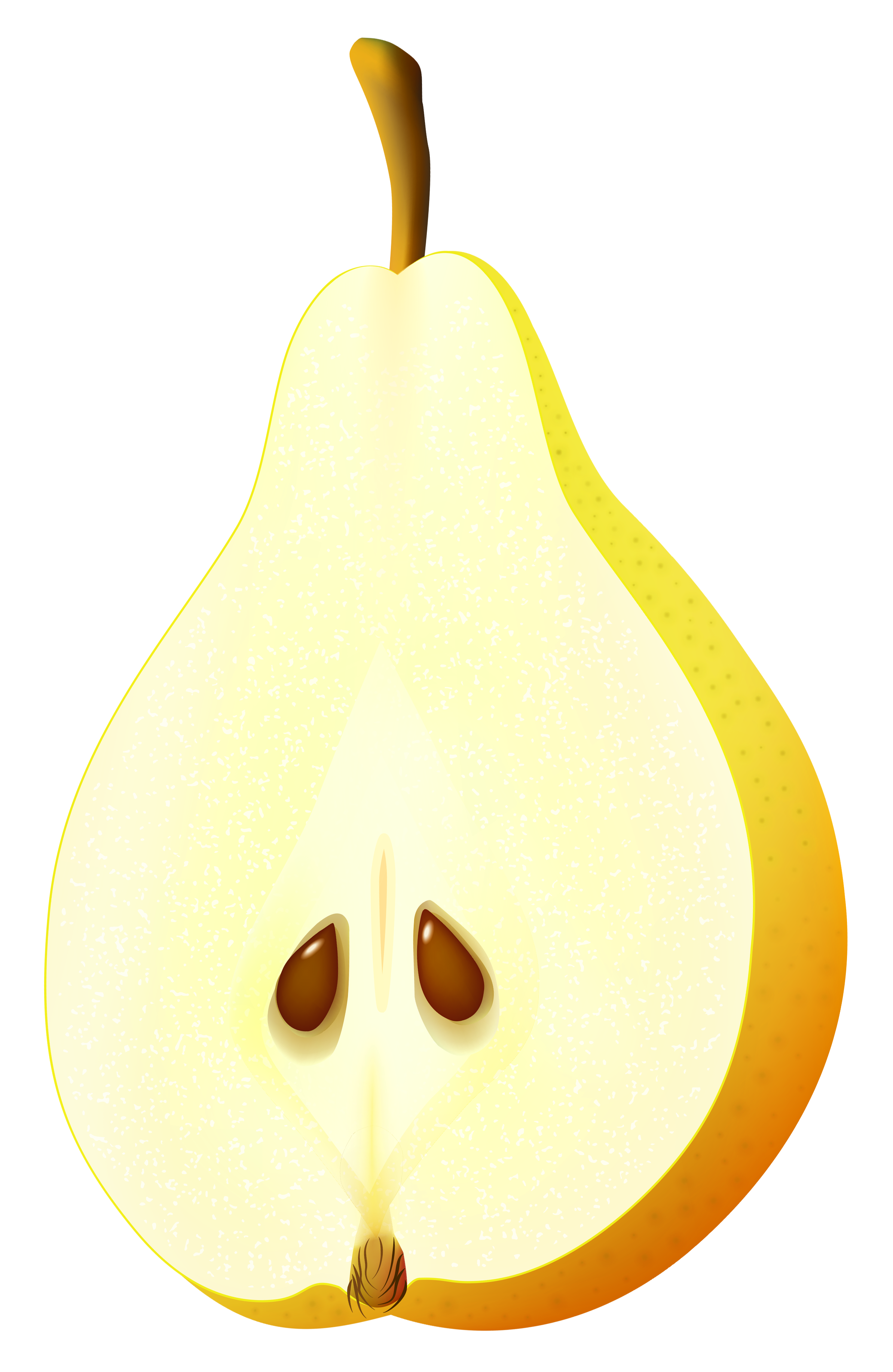 Download Half Pear PNG Vector Clipart Image | Gallery Yopriceville ...
