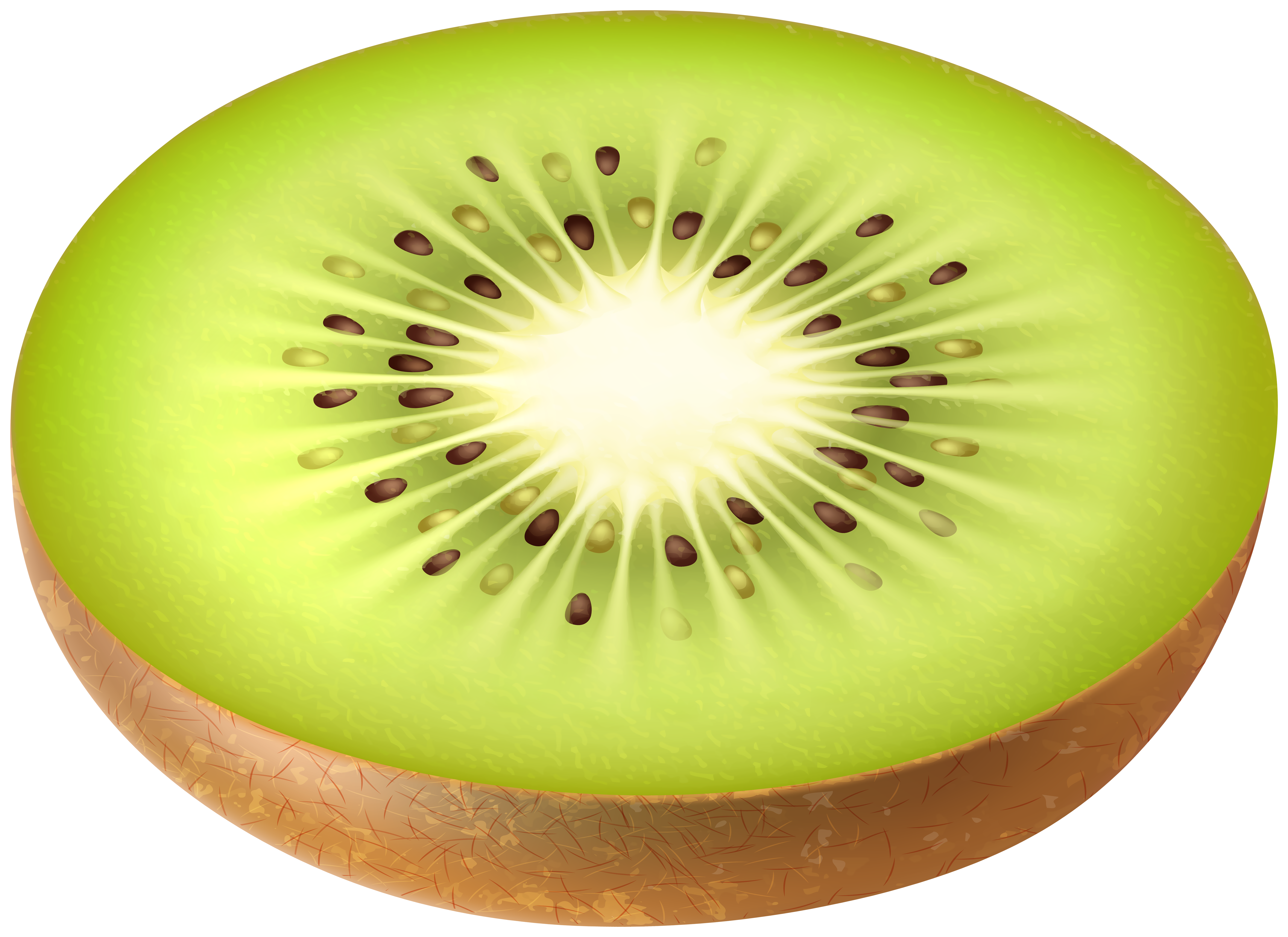 Kiwi PNG Clipart | Gallery Yopriceville - High-Quality Images and