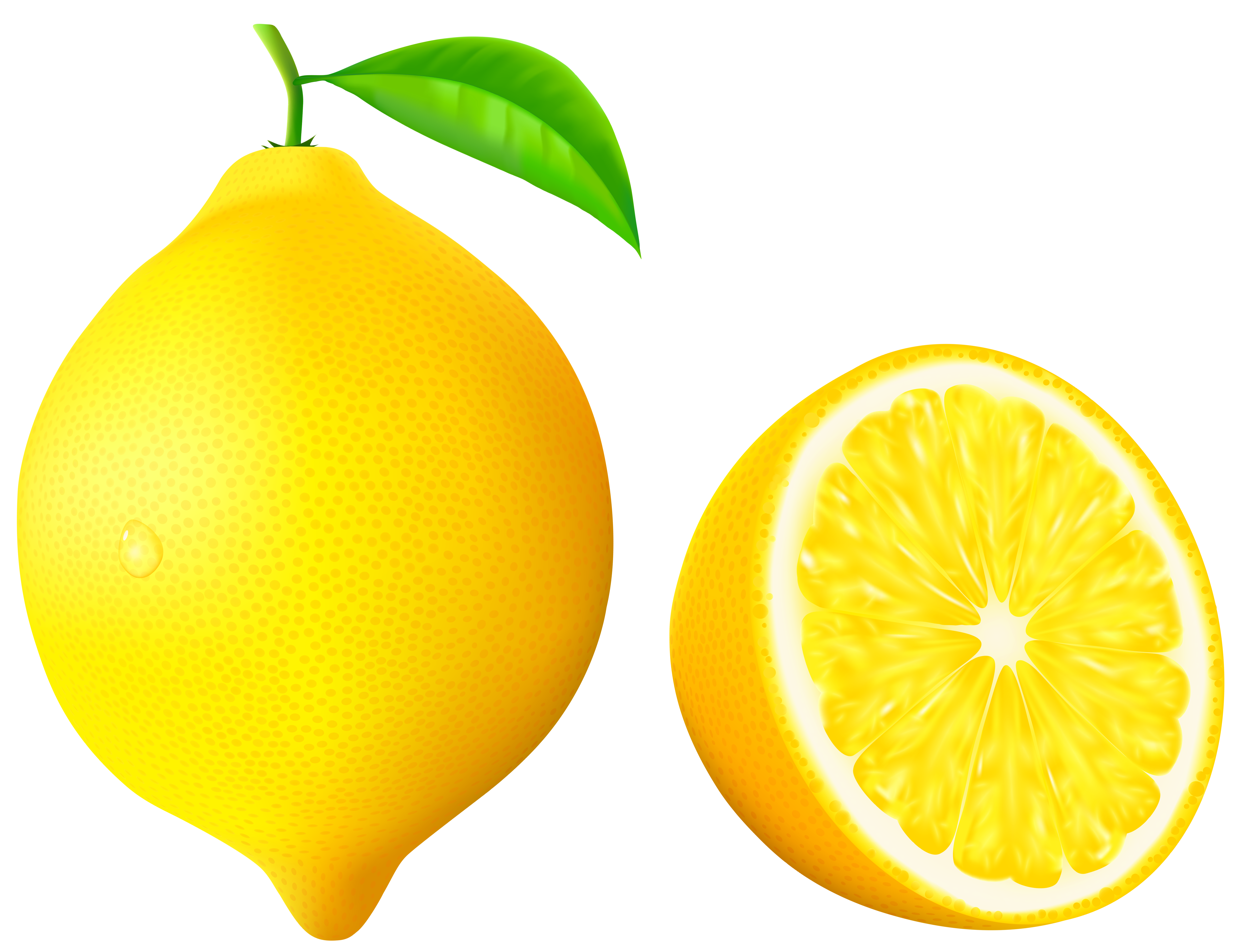 lemon vector