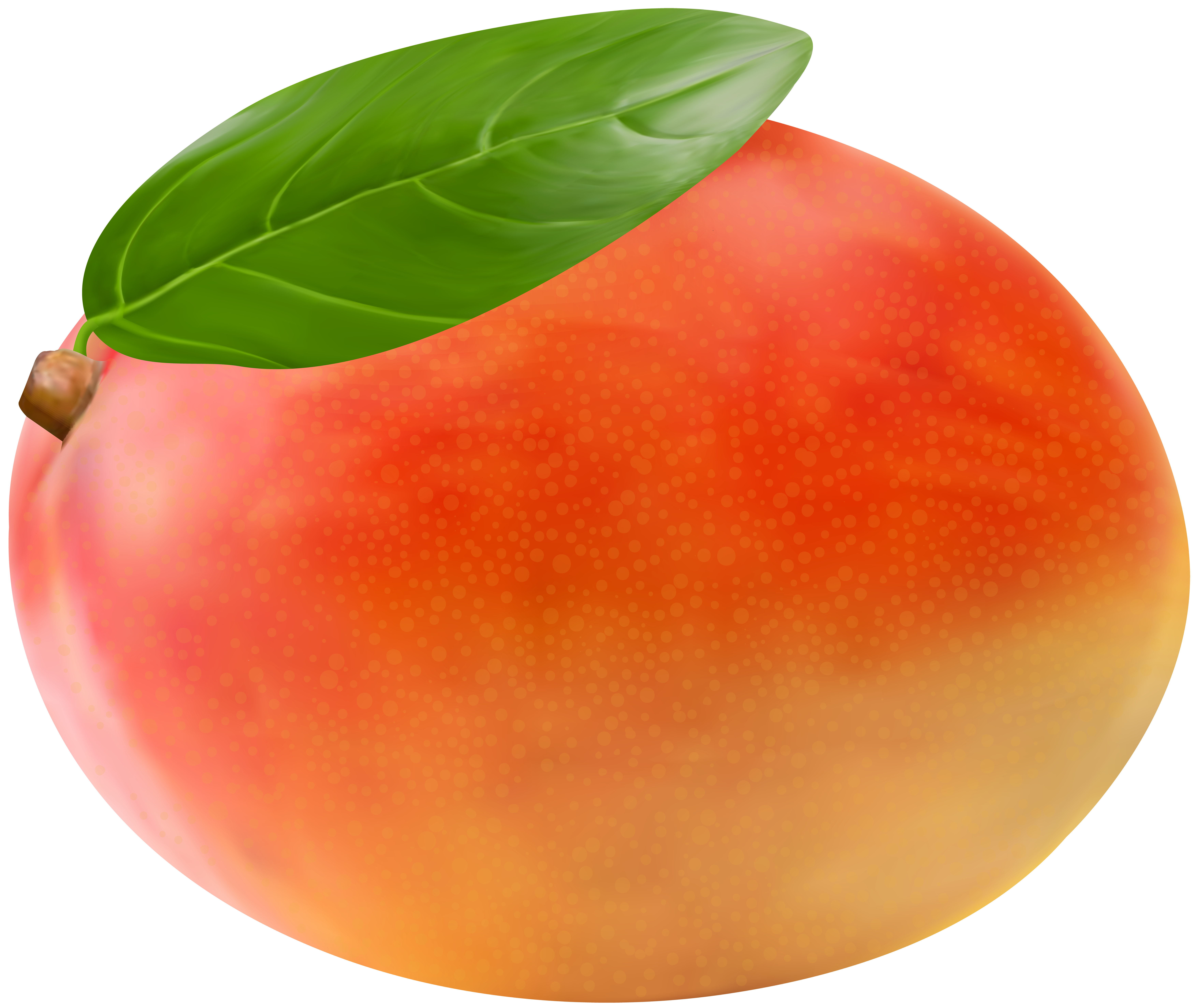 Mango Fruit Png Clip Art Image Gallery Yopriceville High Quality Images And Transparent Png Free Clipart Mango Fruit Png Clip Art Image Gallery Yopriceville High Quality Images And Transparent Png Free Clipart