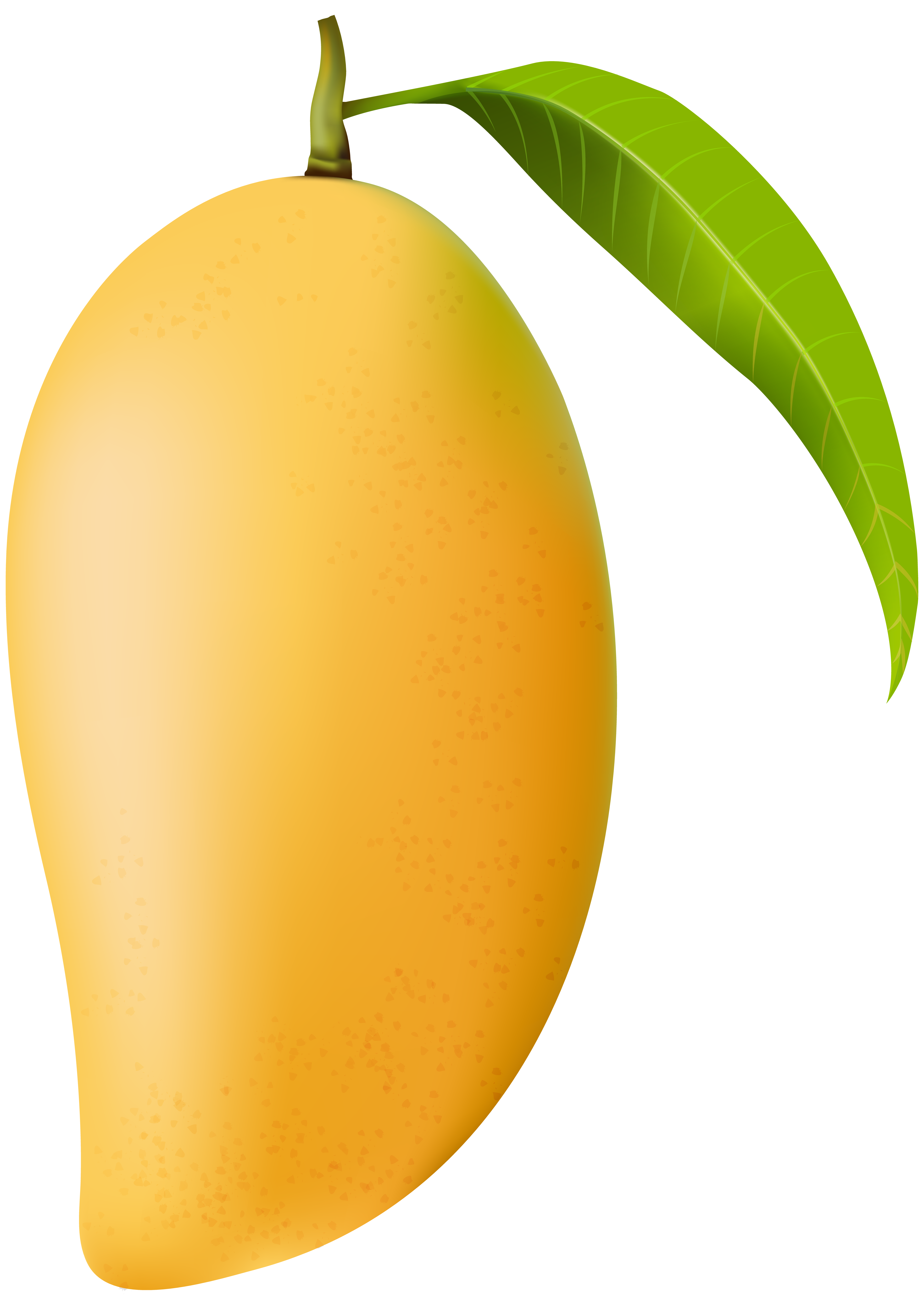 Mango PNG Clip Art Image | Gallery Yopriceville - High-Quality Images ...