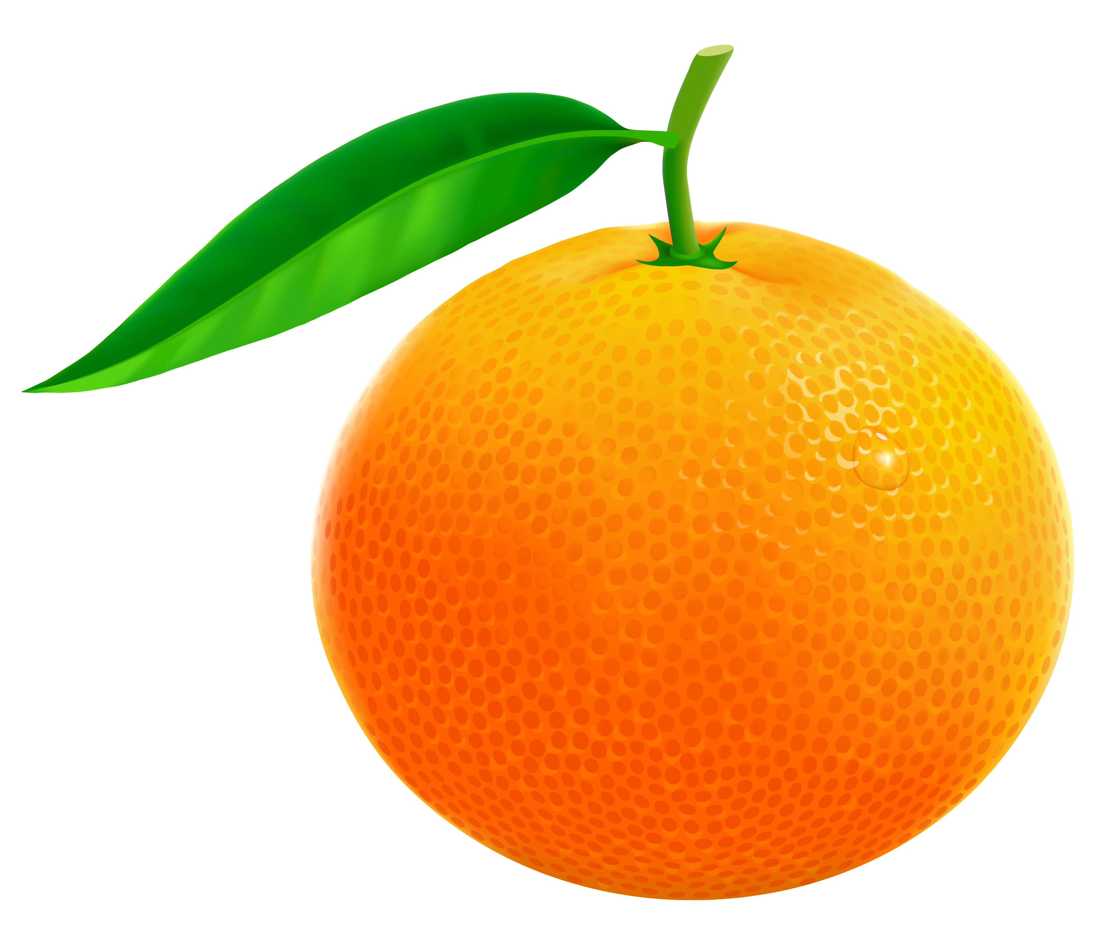 orange clipart