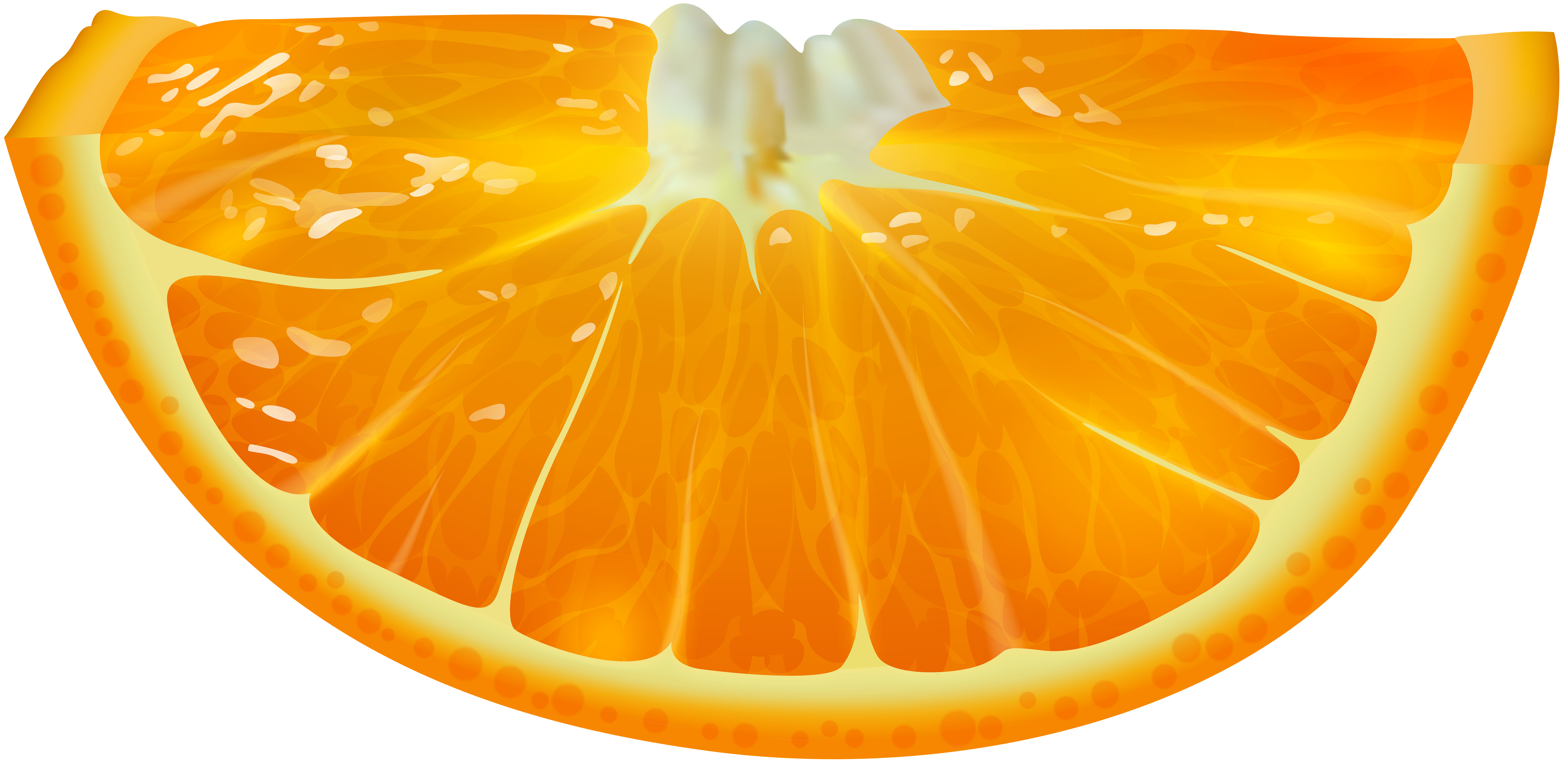  Cartoon Orange Slice  Wallpaper WallpaperShit