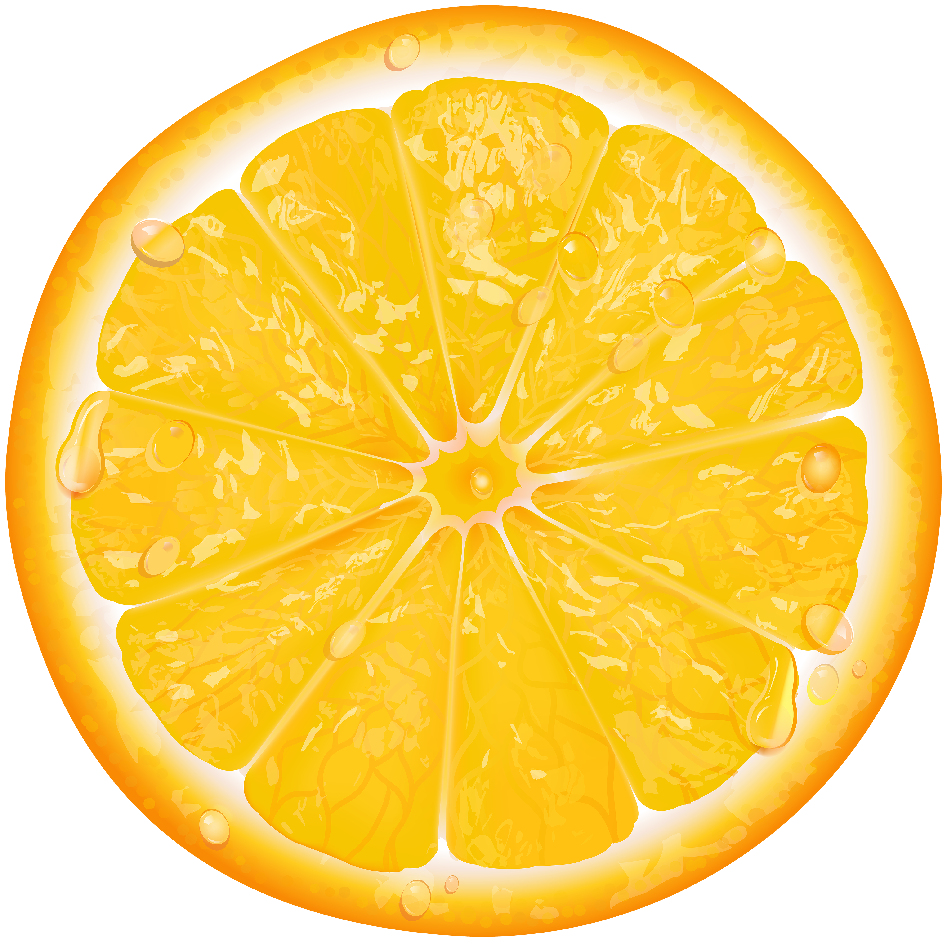 orange slice transparent png