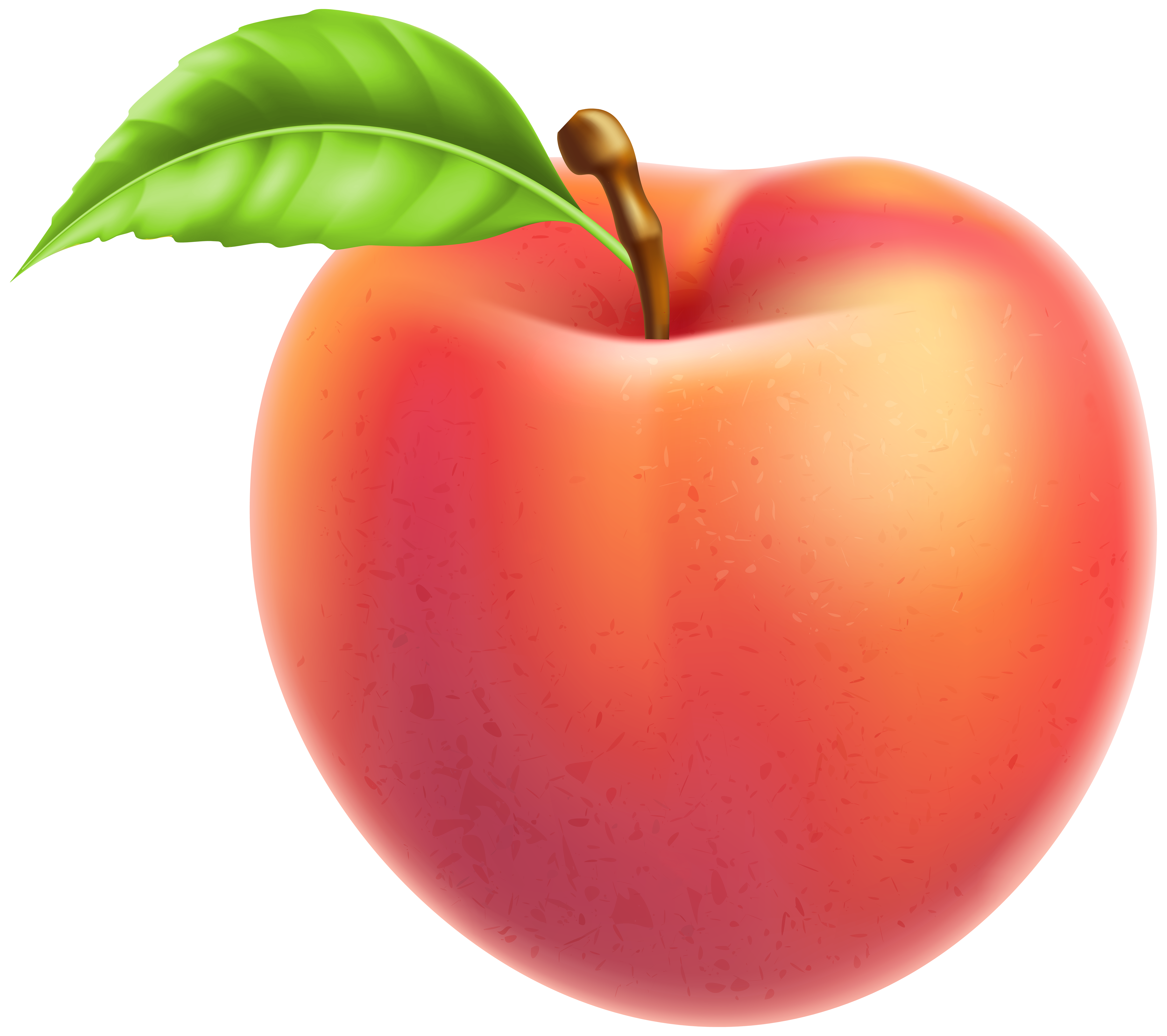 Peach Fruit Png Clipart Gallery Yopriceville High Quality Images And Transparent Png Free Clipart