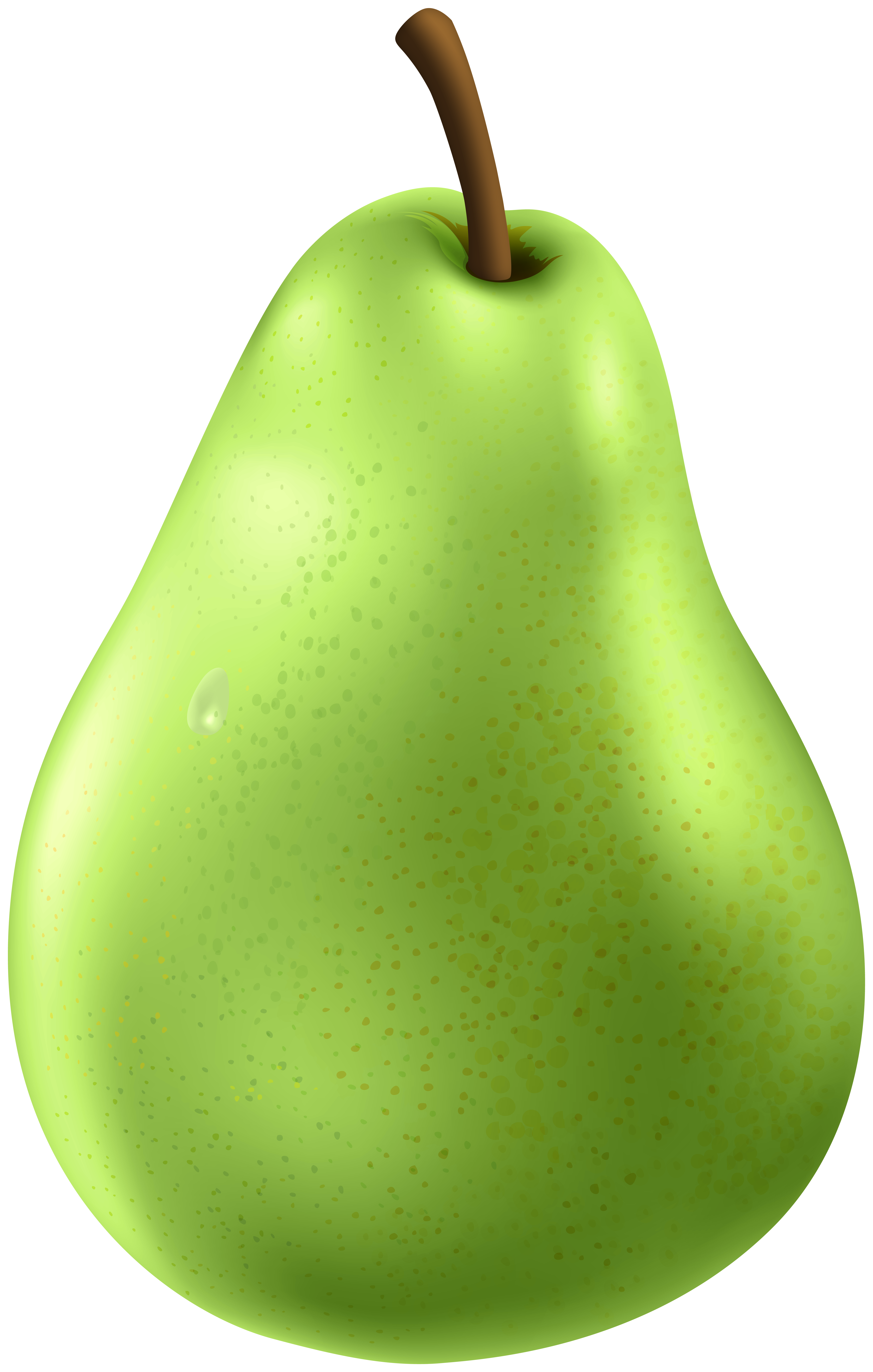 Pear Green PNG Clipart | Gallery Yopriceville - High-Quality Images and