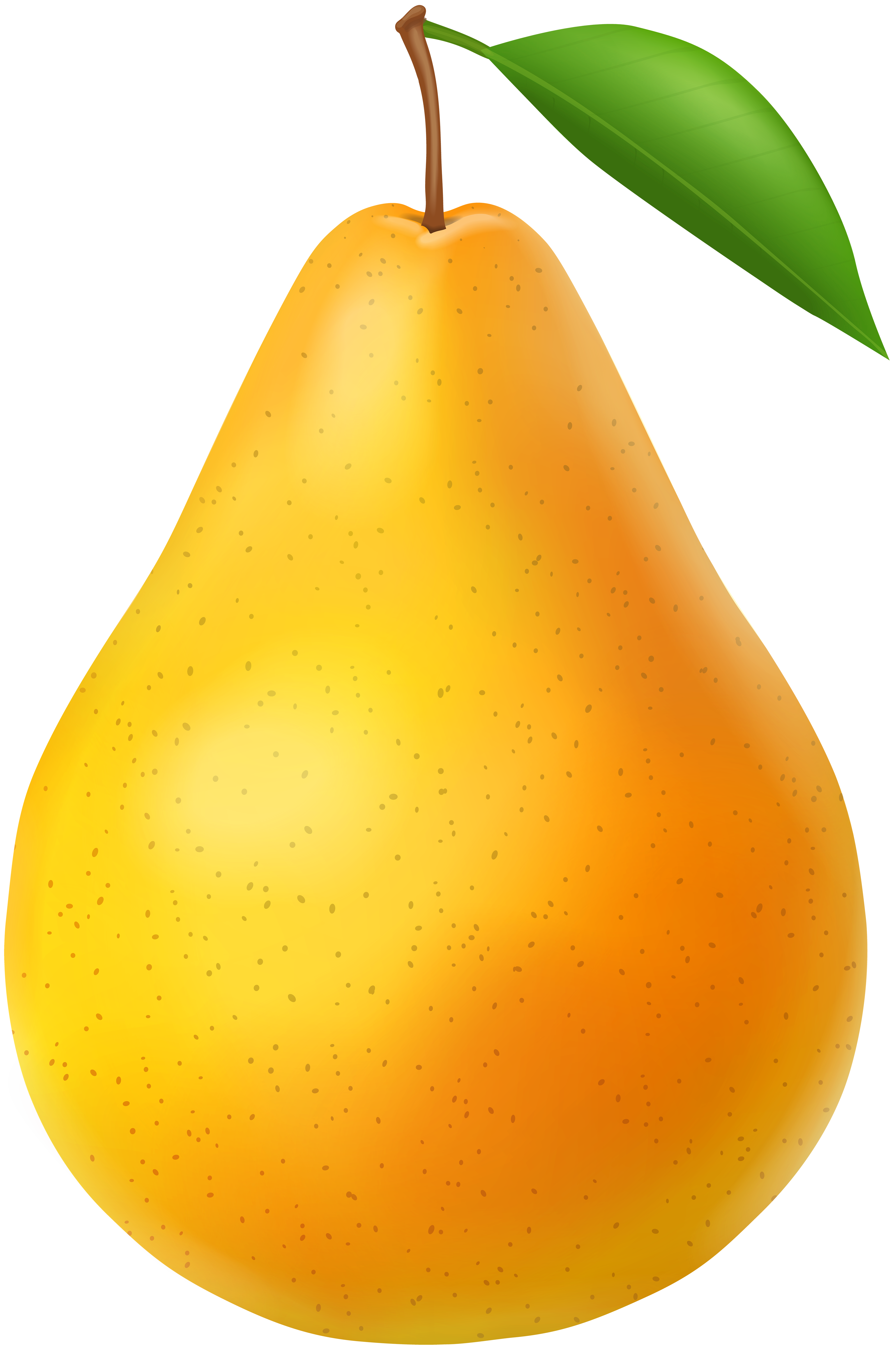 Pear Wallpaper (62+ images)
