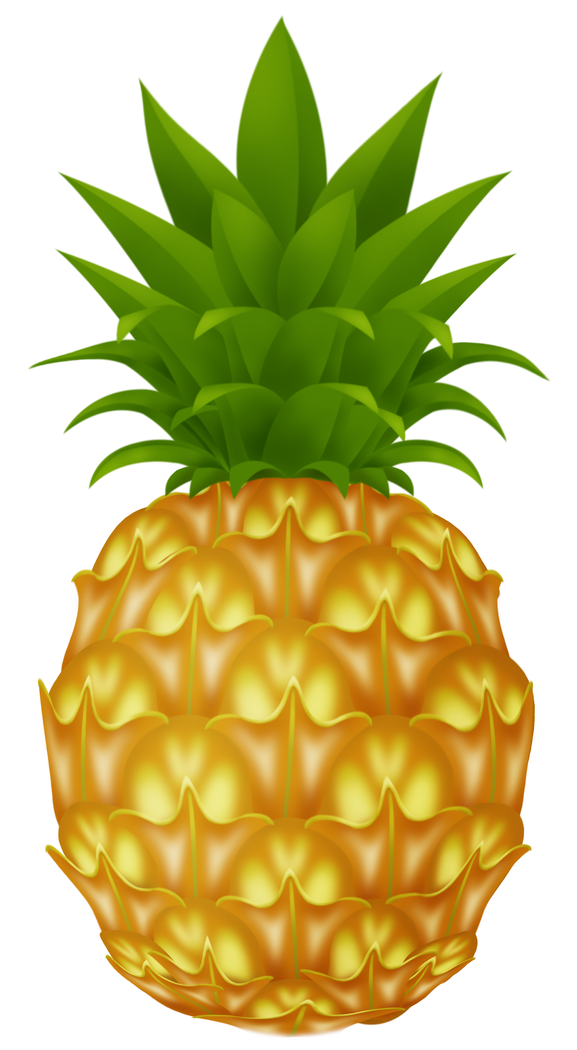 Pineapple PNG Picture | Gallery Yopriceville - High-Quality Free Images