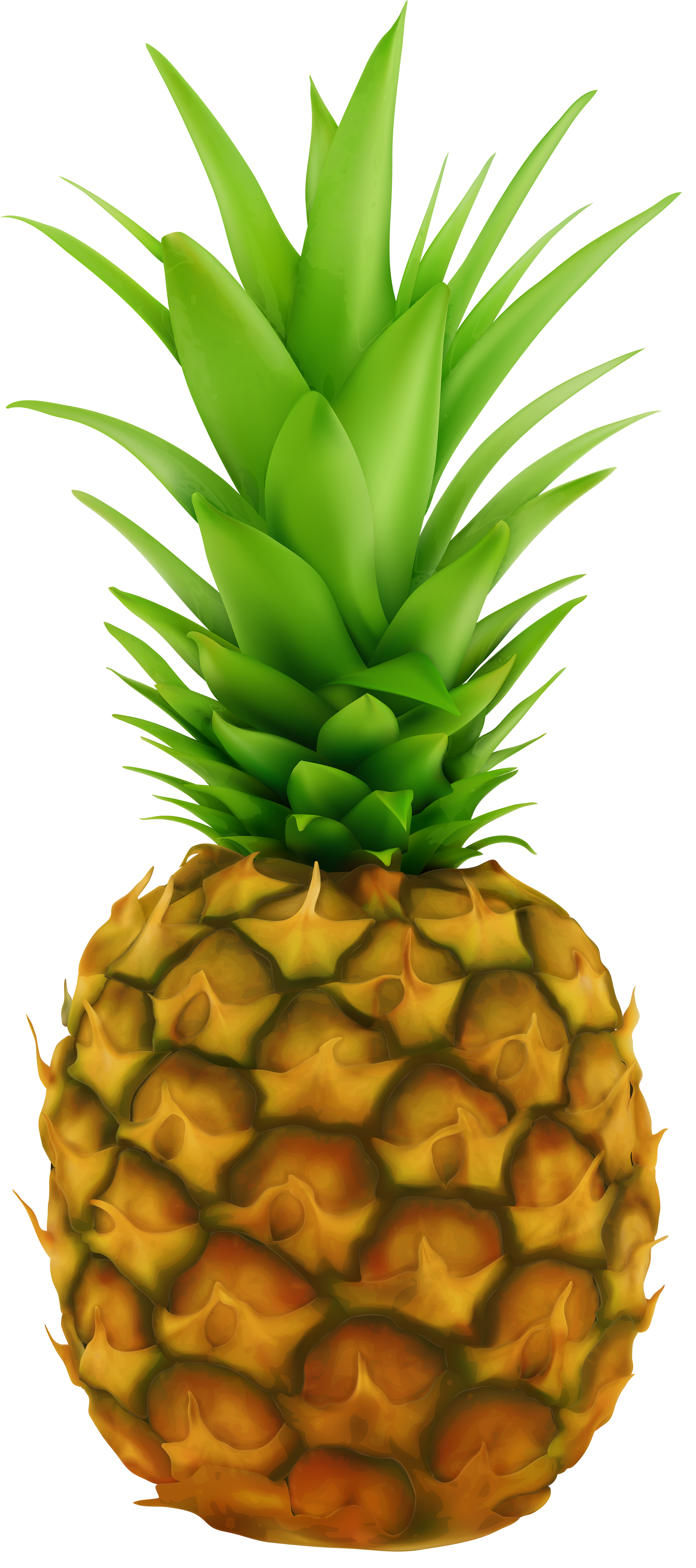 Pineapple Transparent Clip Art Image | Gallery ...