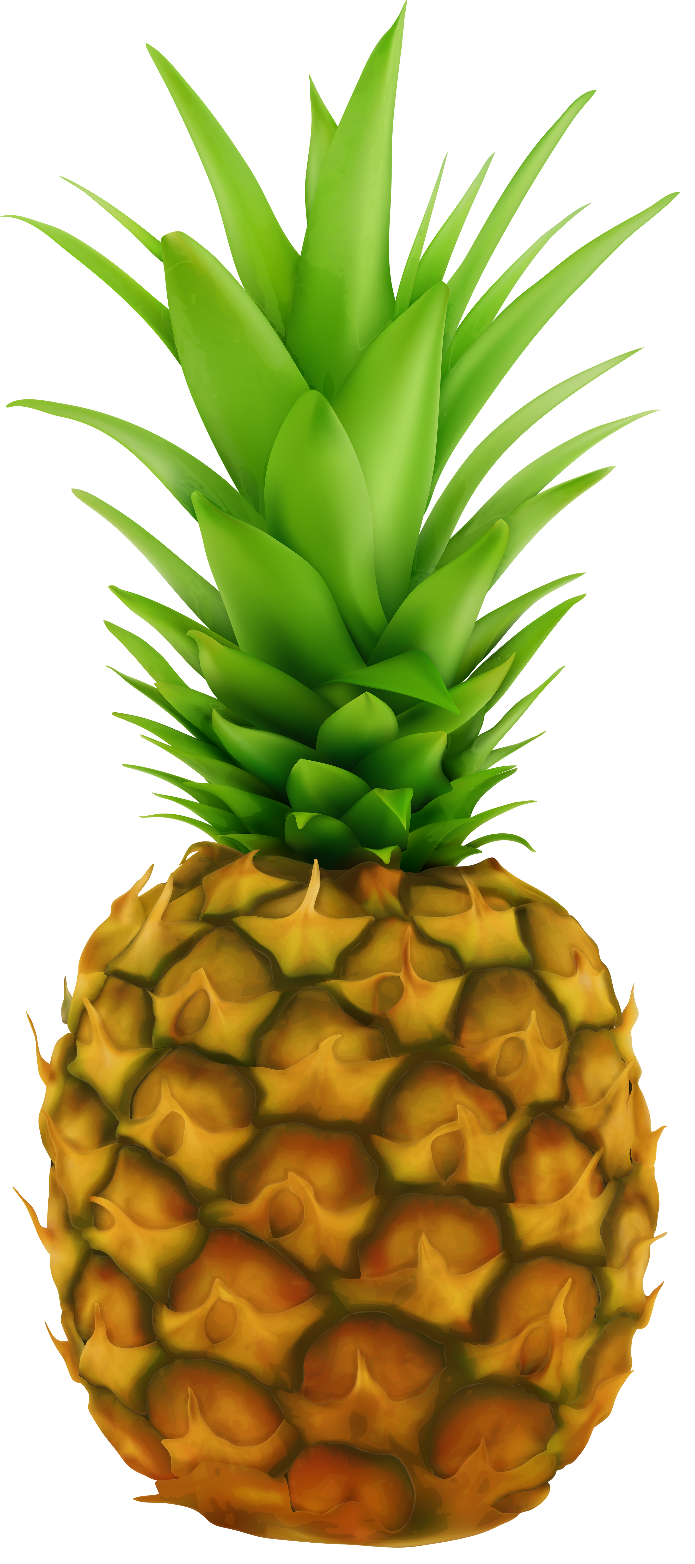 Pineapple Transparent Clip Art Image Pineapple Transparent Clip Art Image
