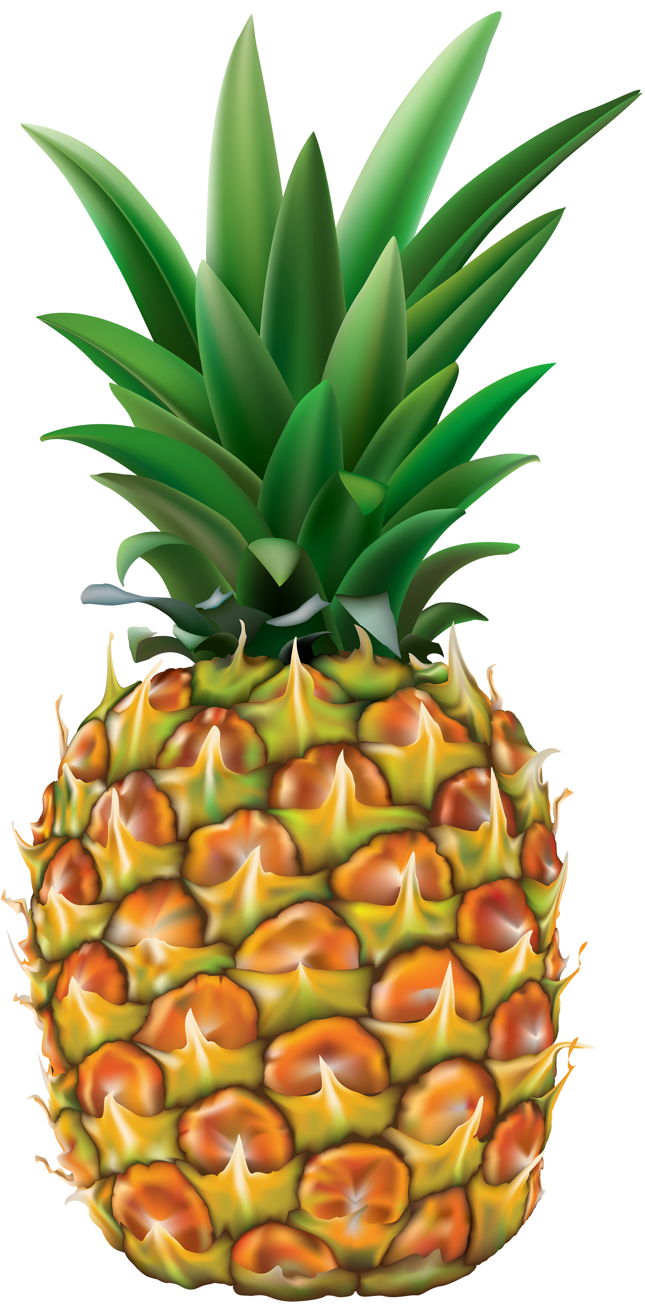 Pineapple Png Clip Art / Shopkins pineapple fruit coloring book