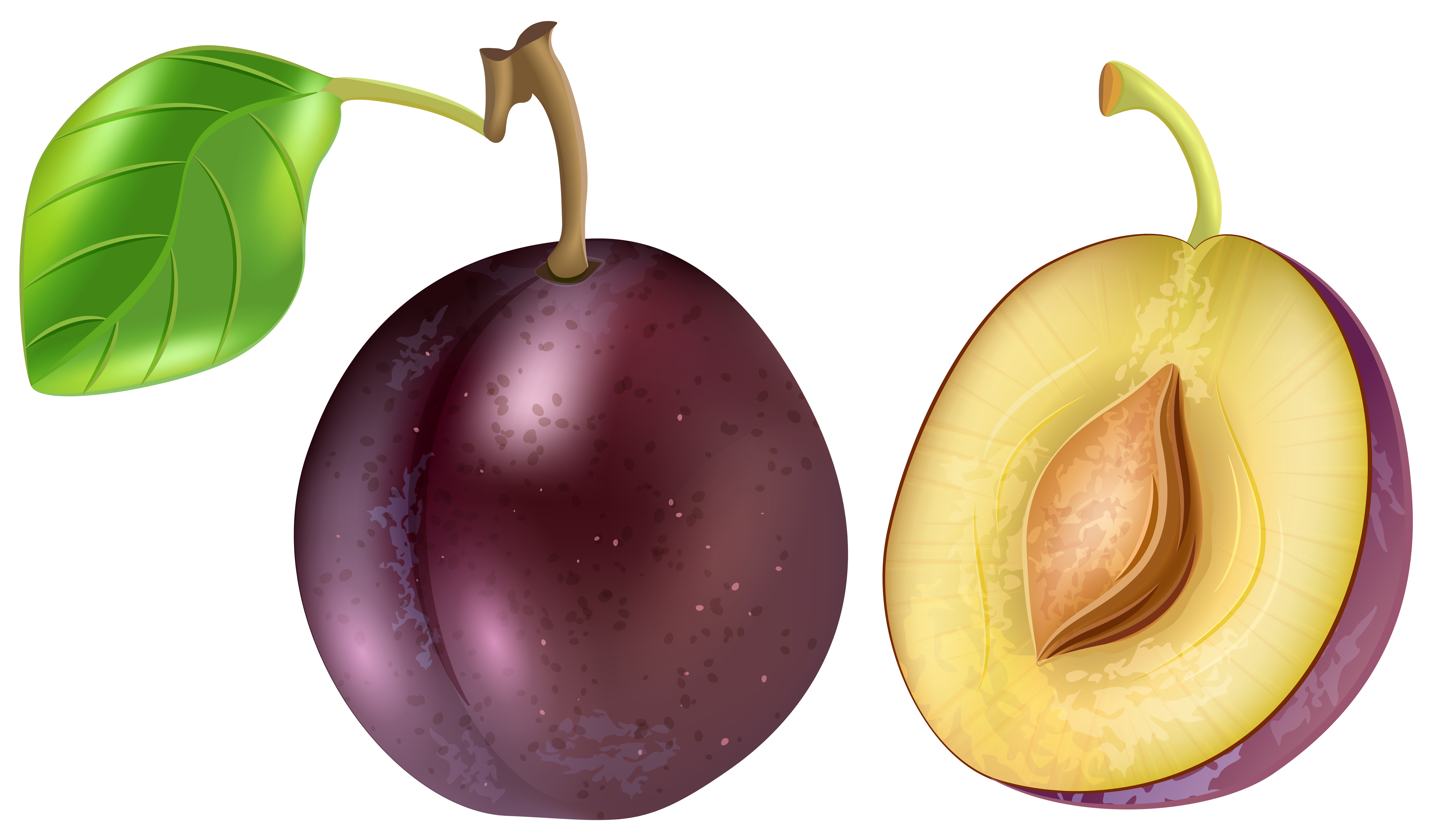 plum transparent png clip art image gallery yopriceville high