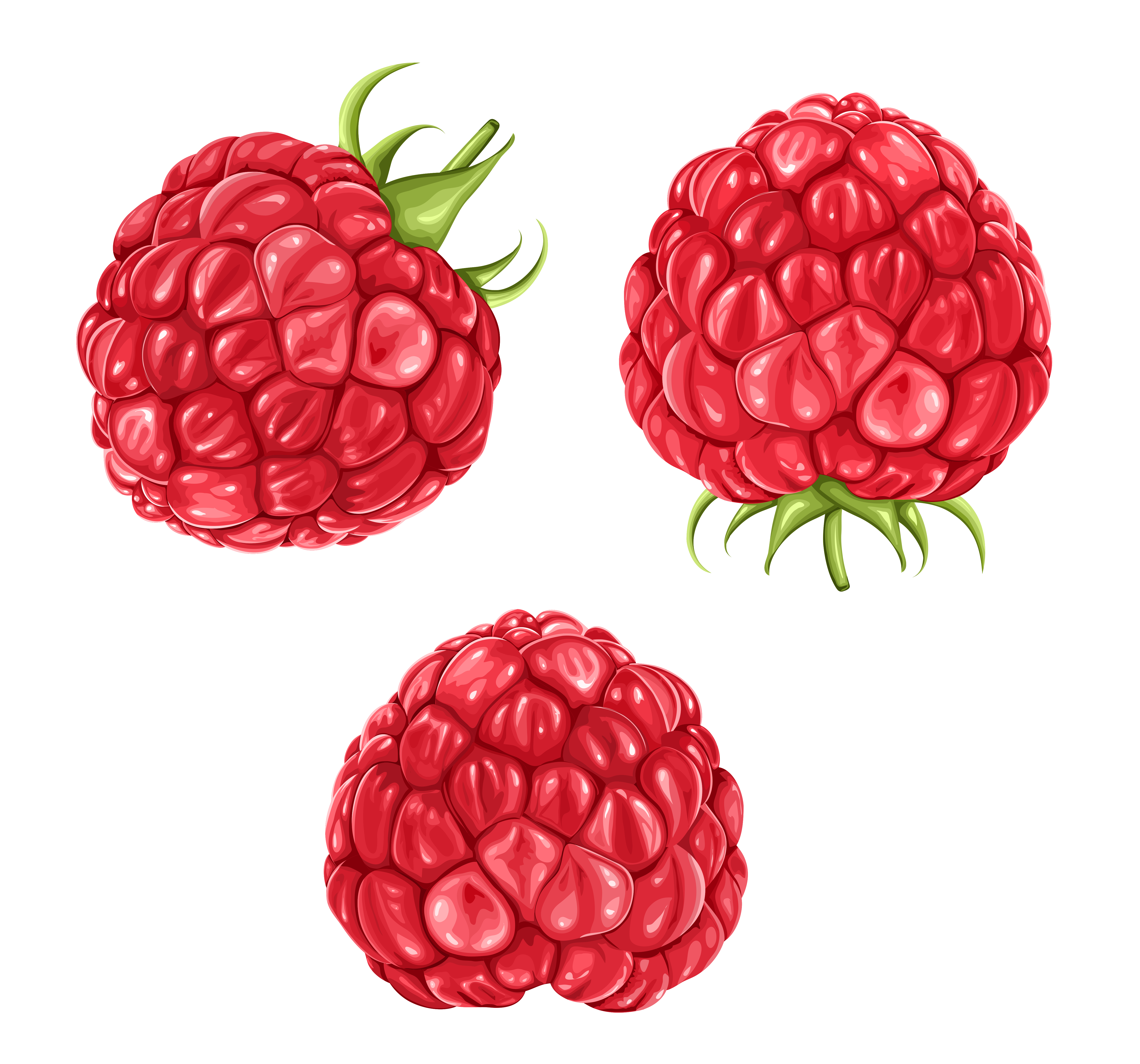 Raspberries PNG Clipart Picture | Gallery Yopriceville - High-Quality