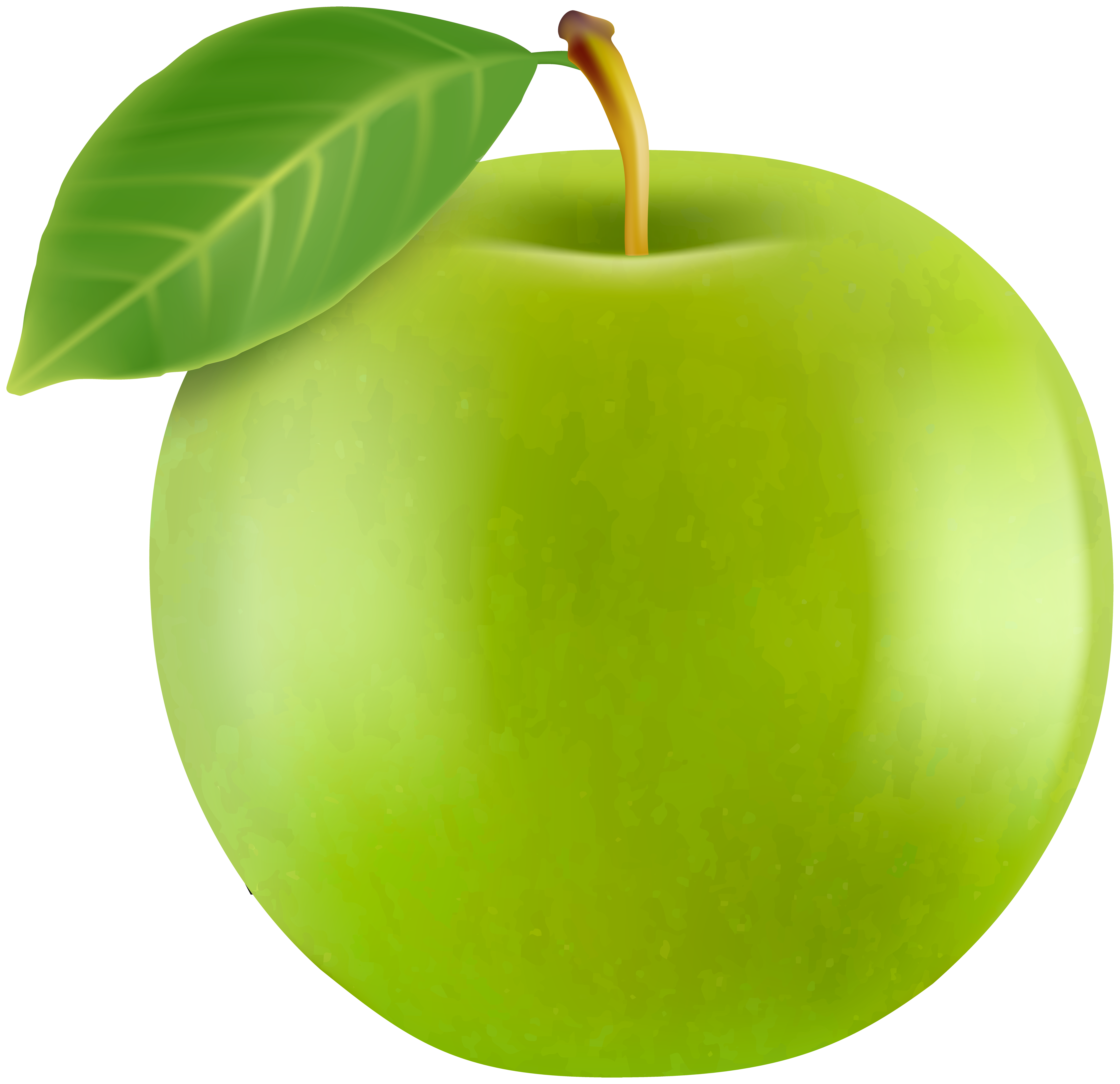 Realistic Green Apple Png Clipart Gallery Yopriceville High Quality Images And Transparent Png Free Clipart