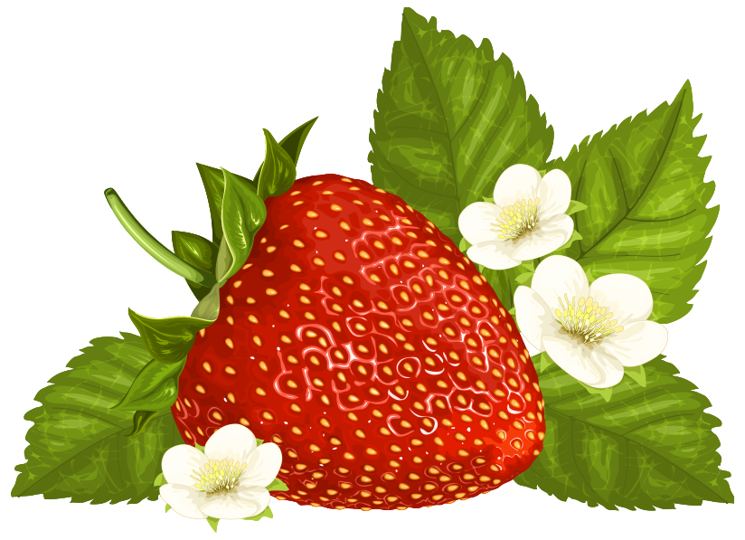 Strawberry PNG Clipart...