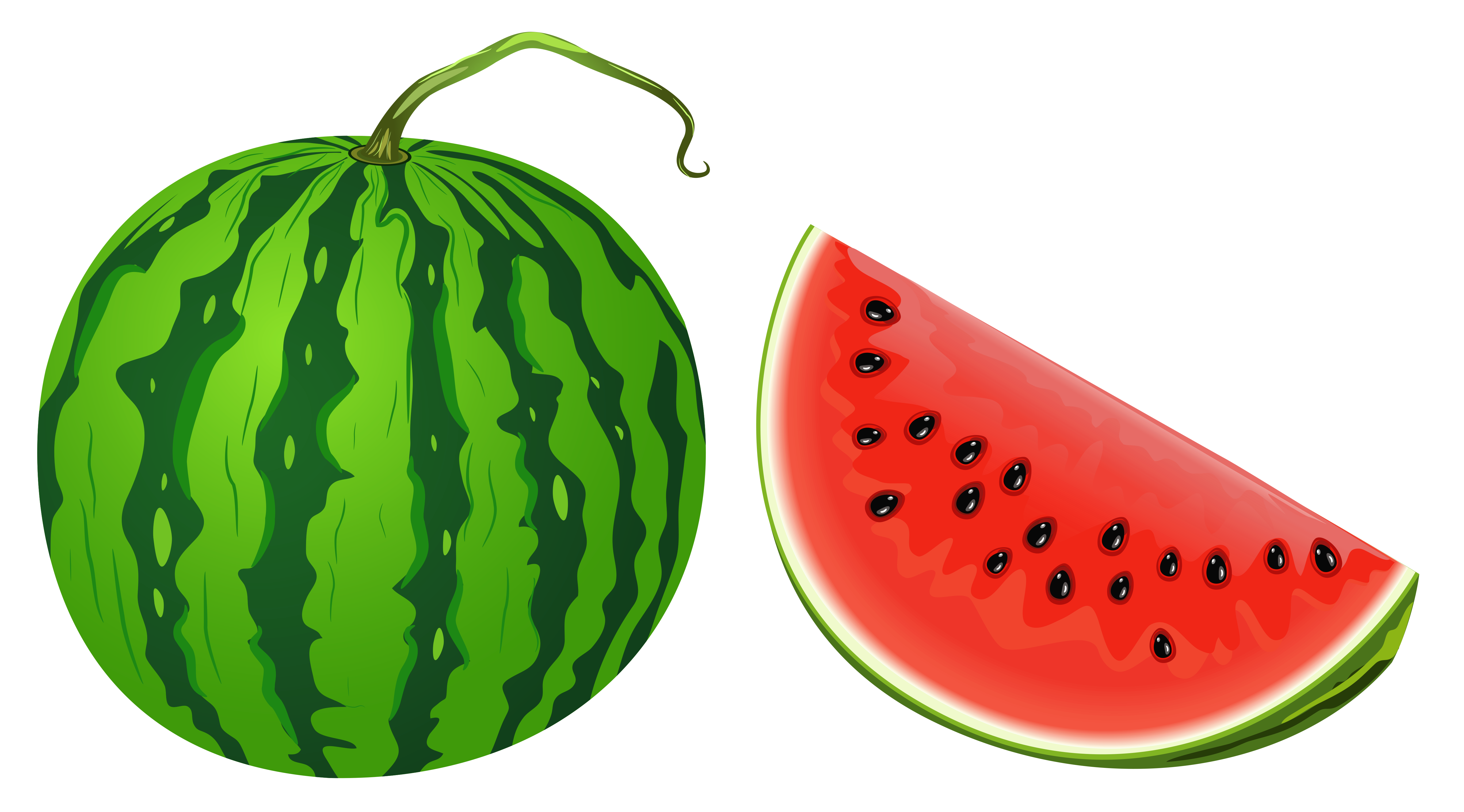 Featured image of post Watermelon Fruit Vector Png 25 000 vectors stock photos psd files