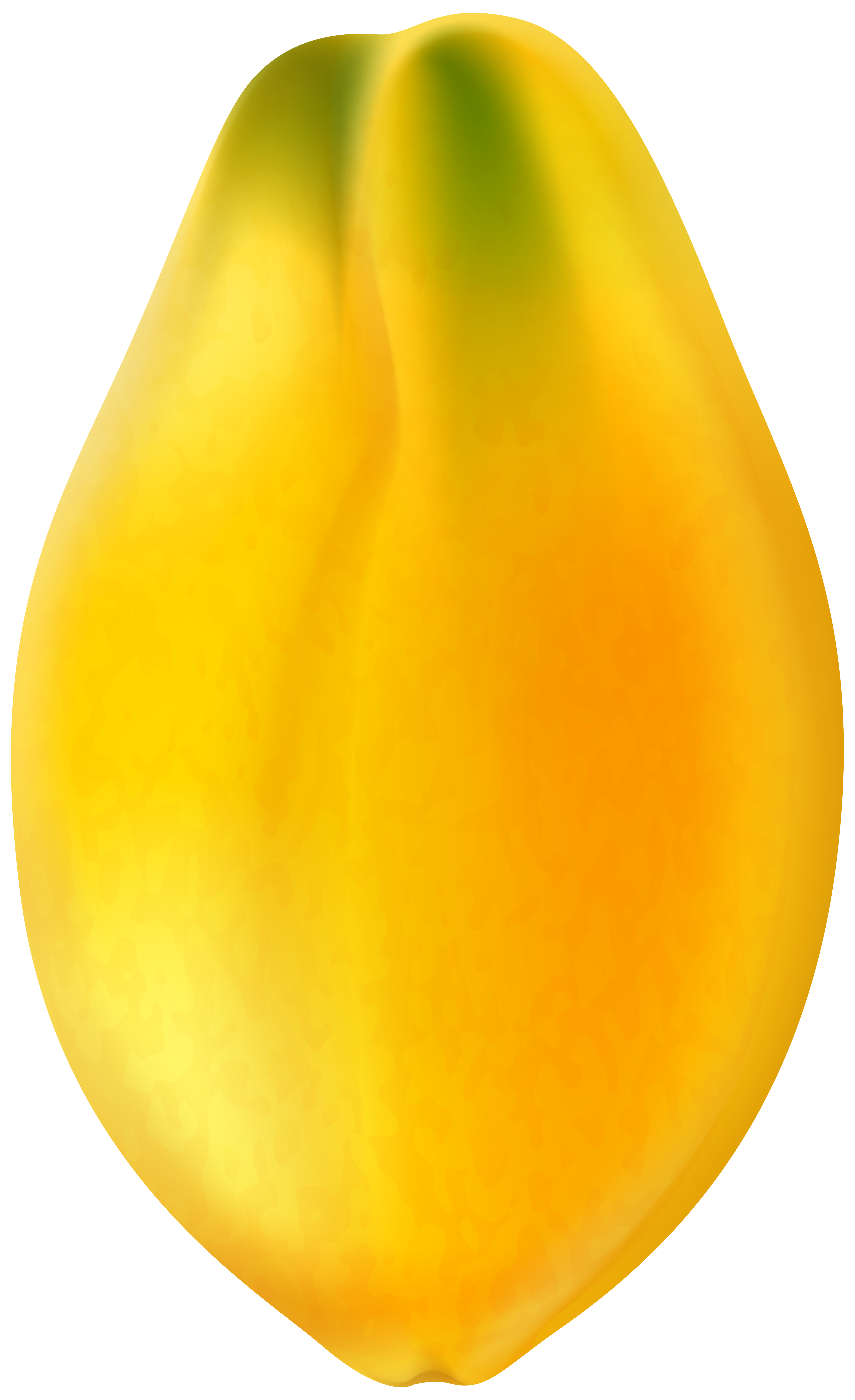 papaya clip art
