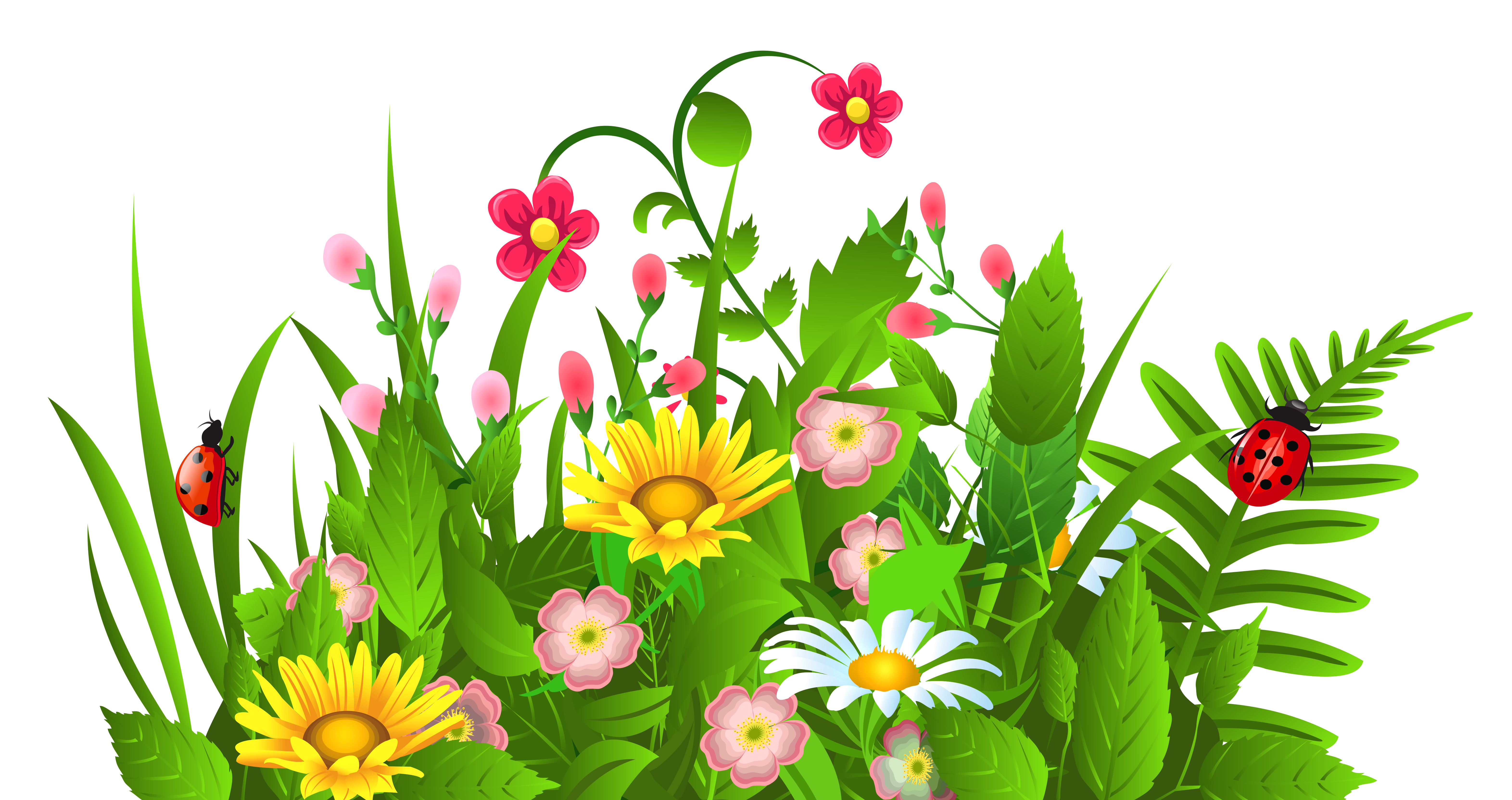 Cute Grass and Flowers PNG Clipart  Gallery Yopriceville 