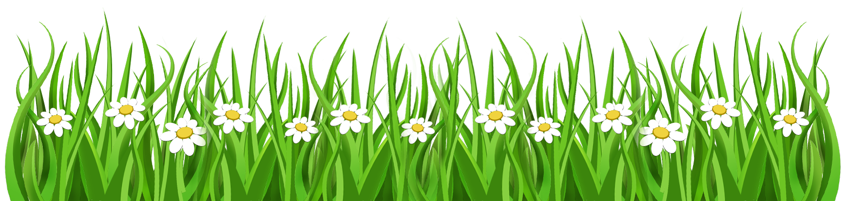 daisies and grass png clipart