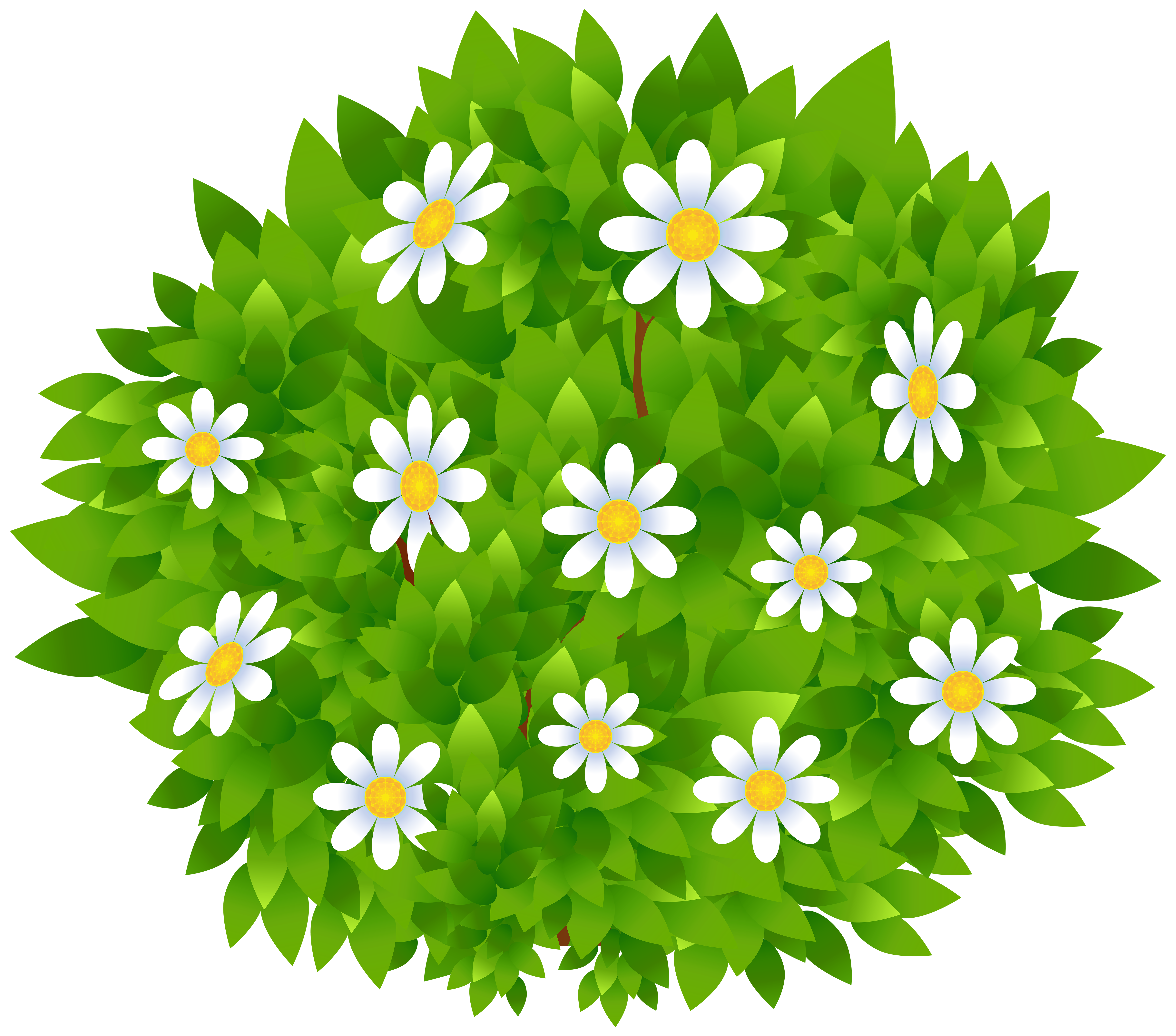 free bushes clipart