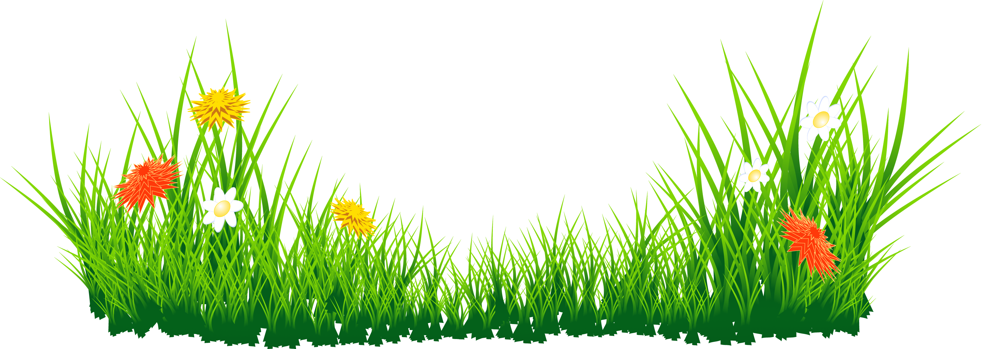 Grass png images