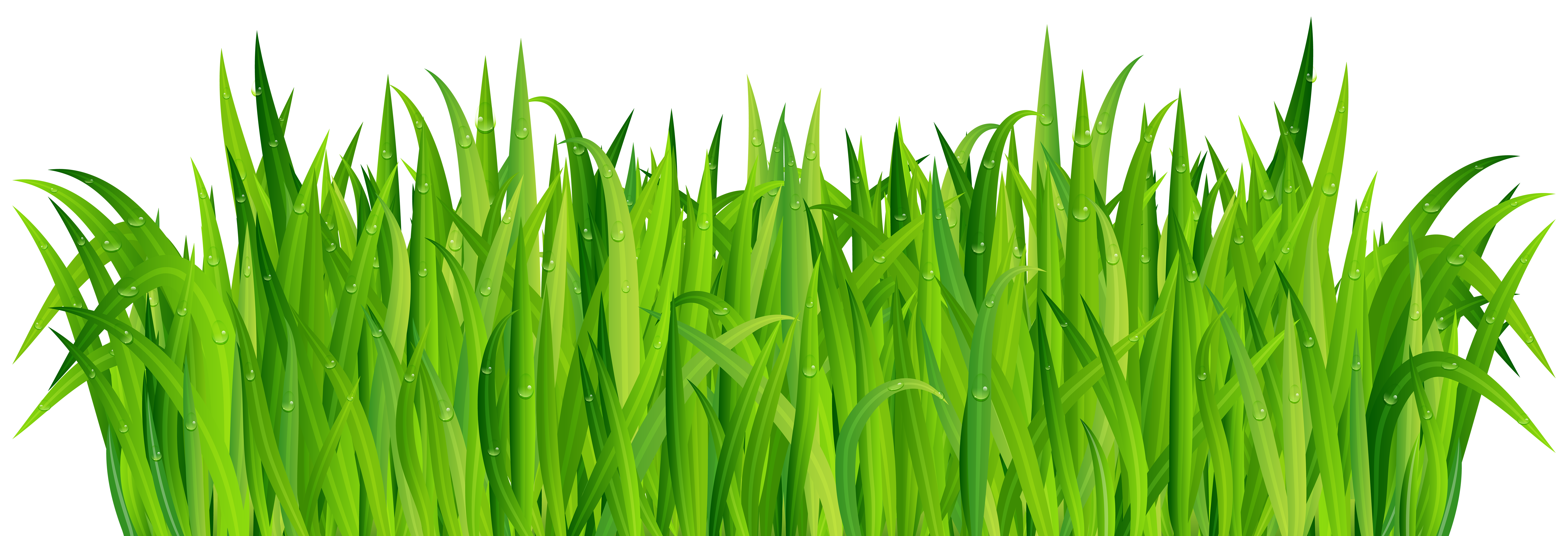 Fresh Green Grass PNG Clip Art Image | Gallery Yopriceville - High