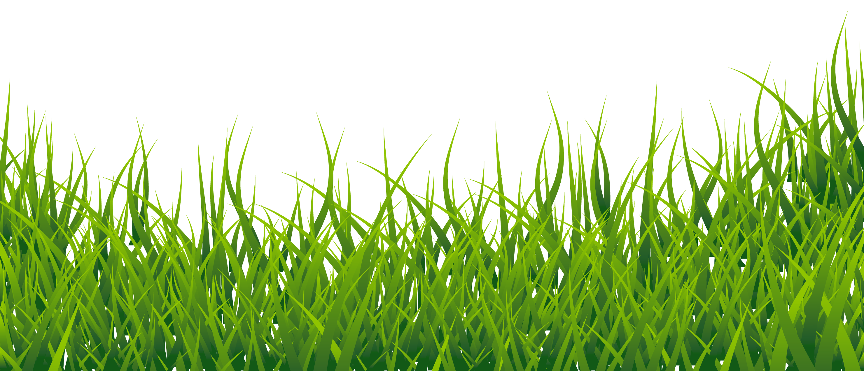 Grass Clipart Picture | Gallery Yopriceville - High-Quality Free Images