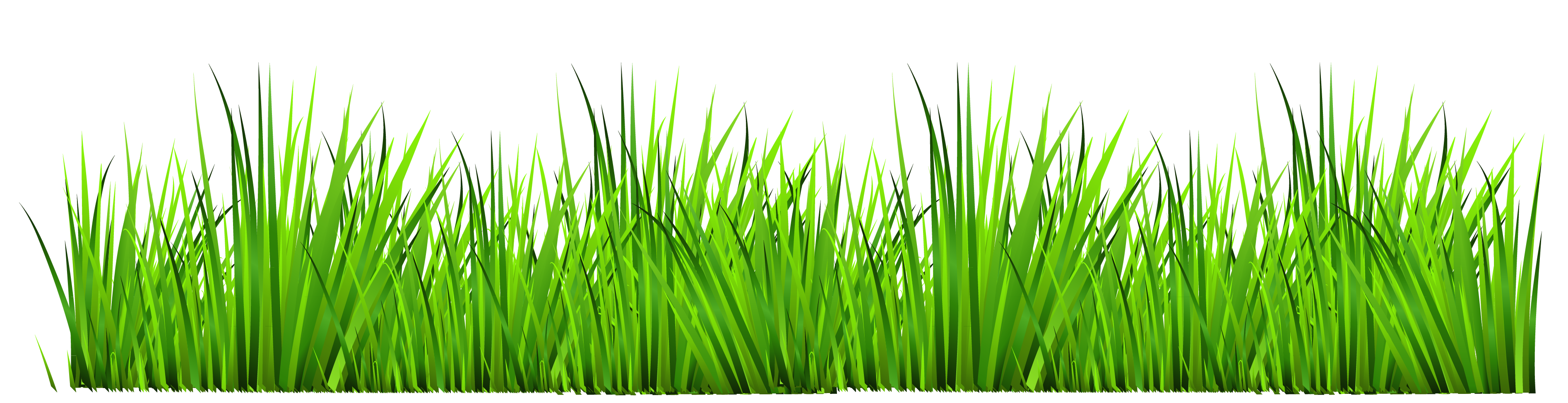 grass transparent png