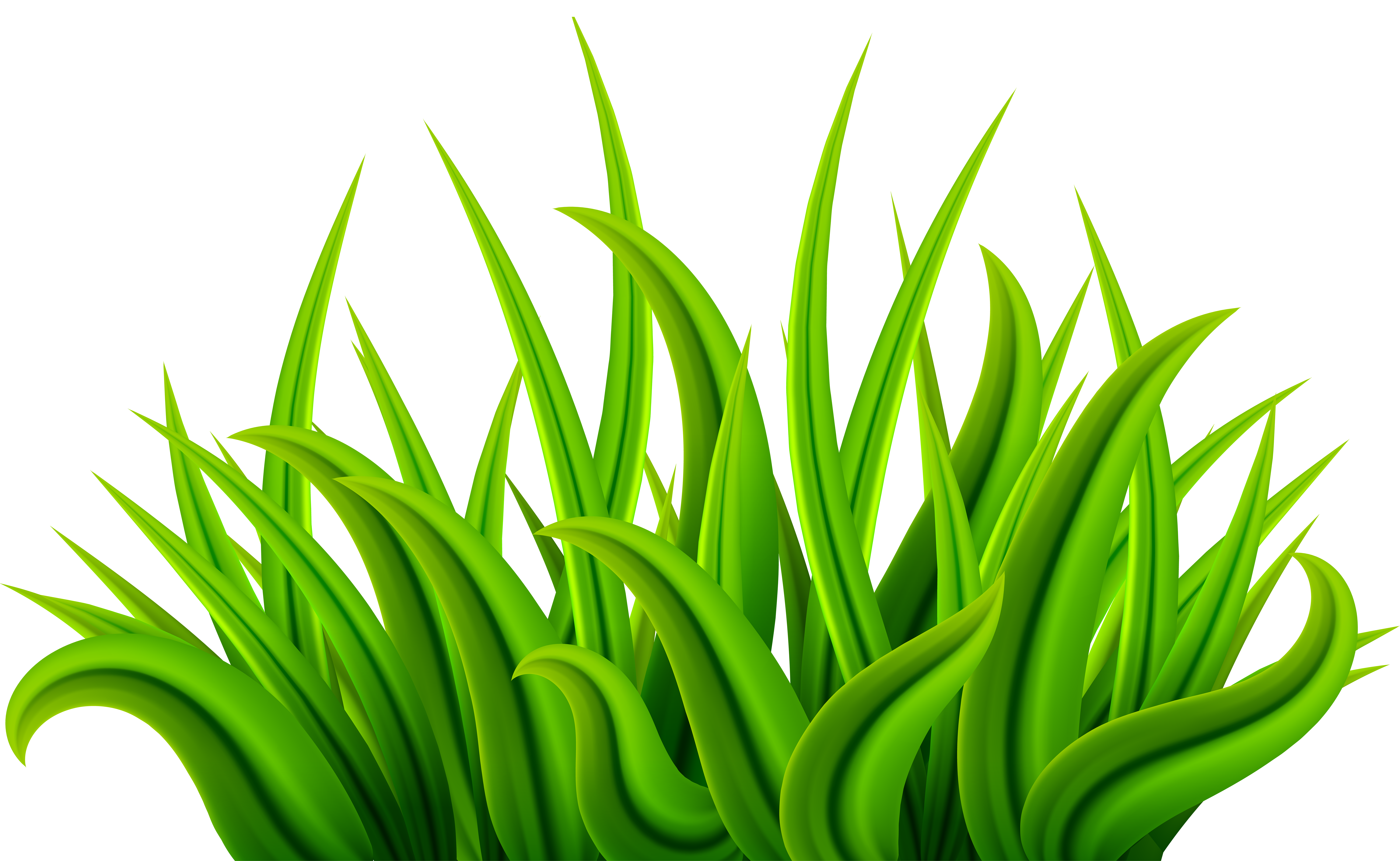 Grass Green PNG Clip Art Image | Gallery Yopriceville - High-Quality