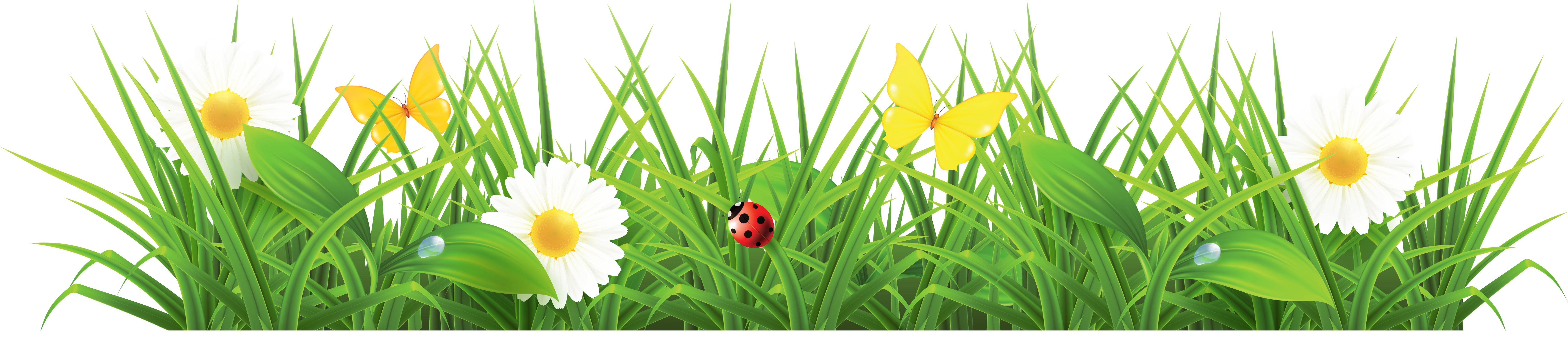 Grass Ground with Flowers Clipart Picture | Gallery Yopriceville - High