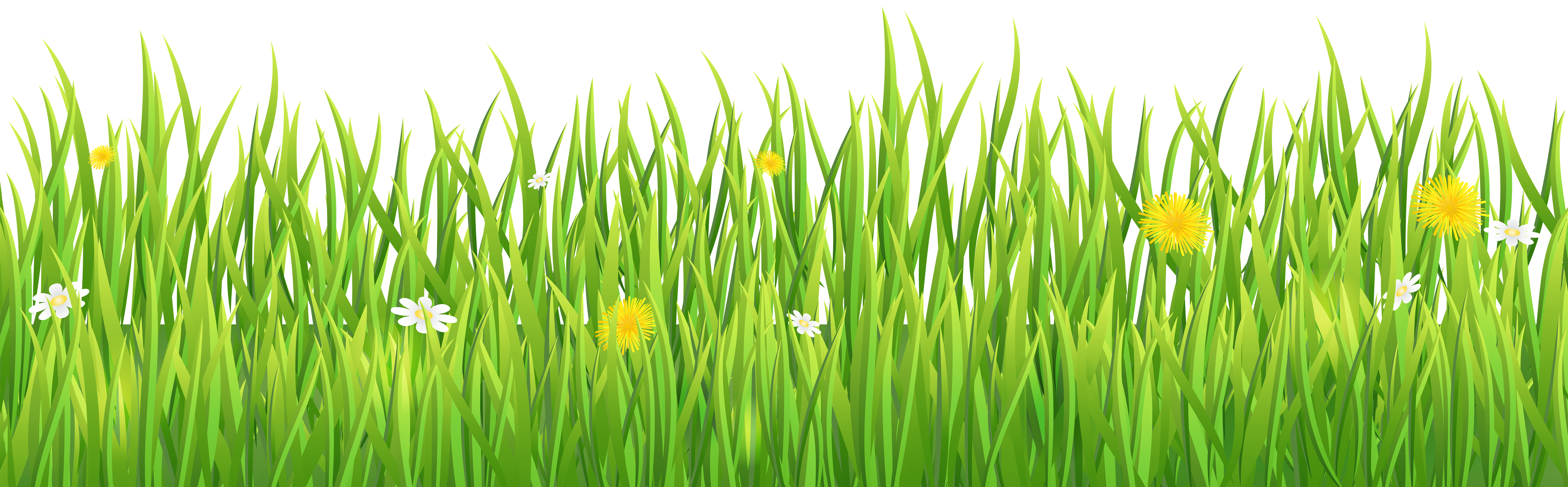 grass transparent png