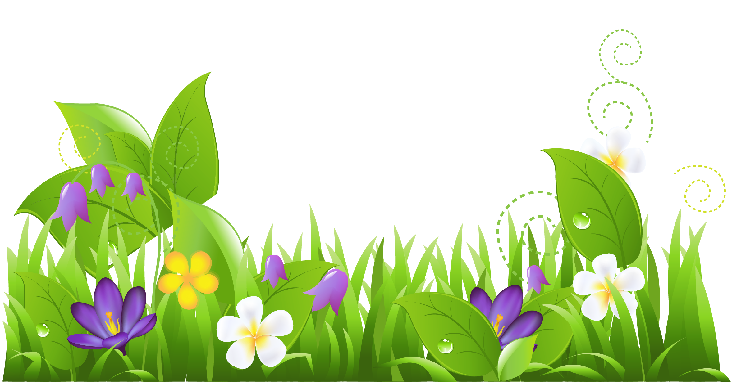 plants and flowers clipart