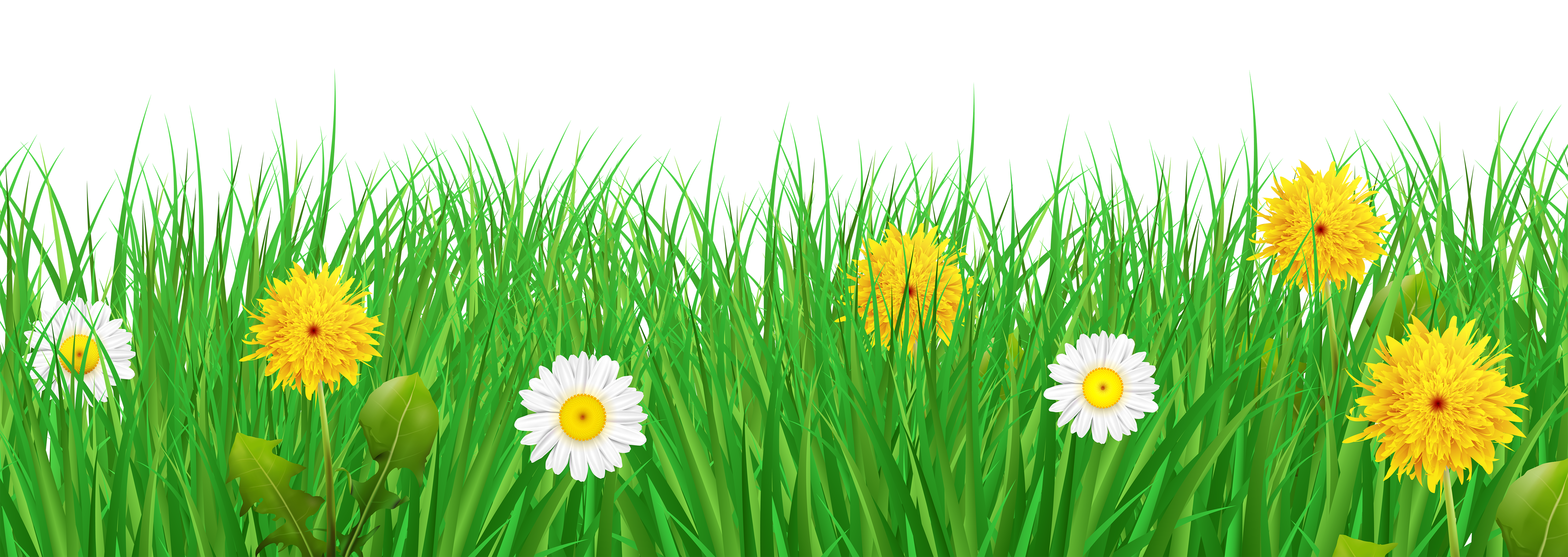 grass and flowers clip art