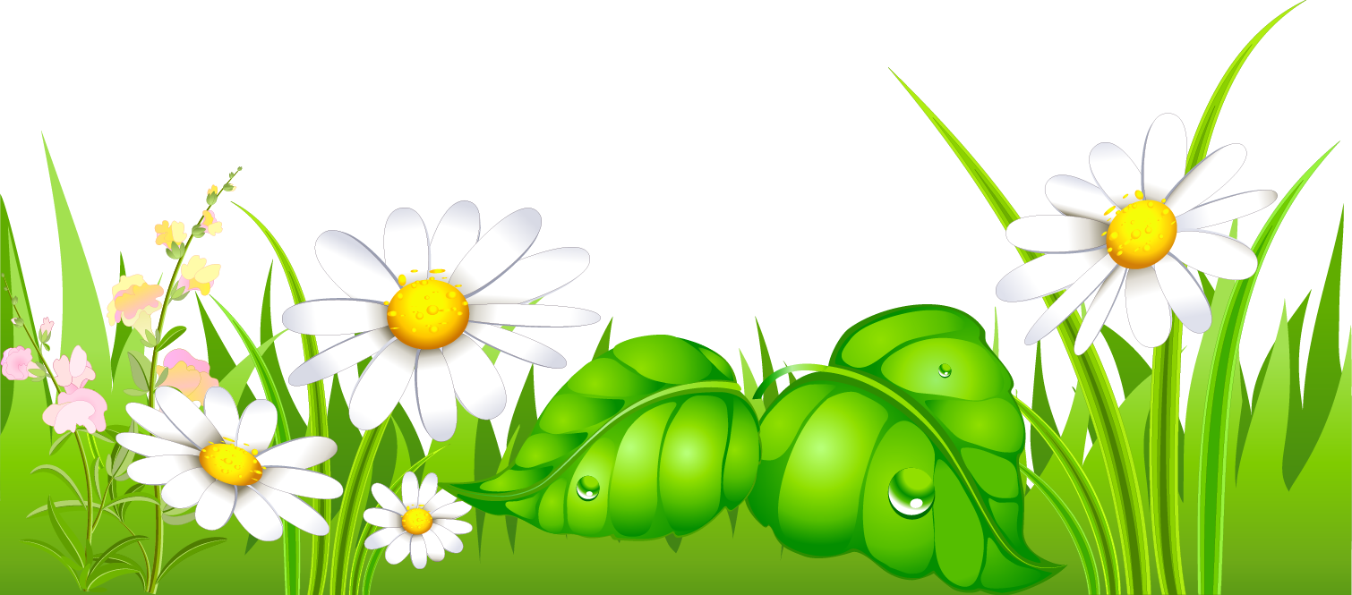 Grass with Daisies Ground Clipart  Gallery Yopriceville 