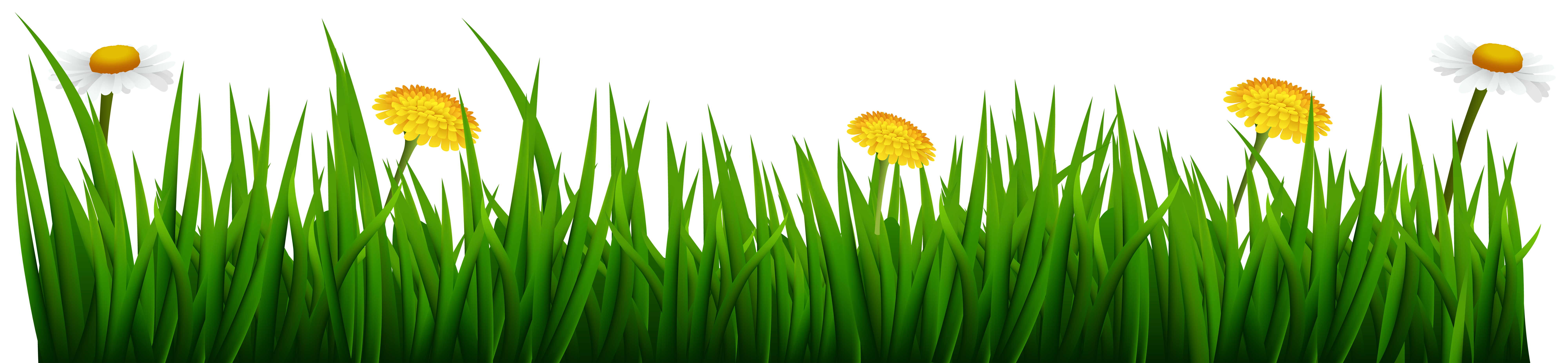 Grass with Flowers Transparent Image | Gallery Yopriceville - High