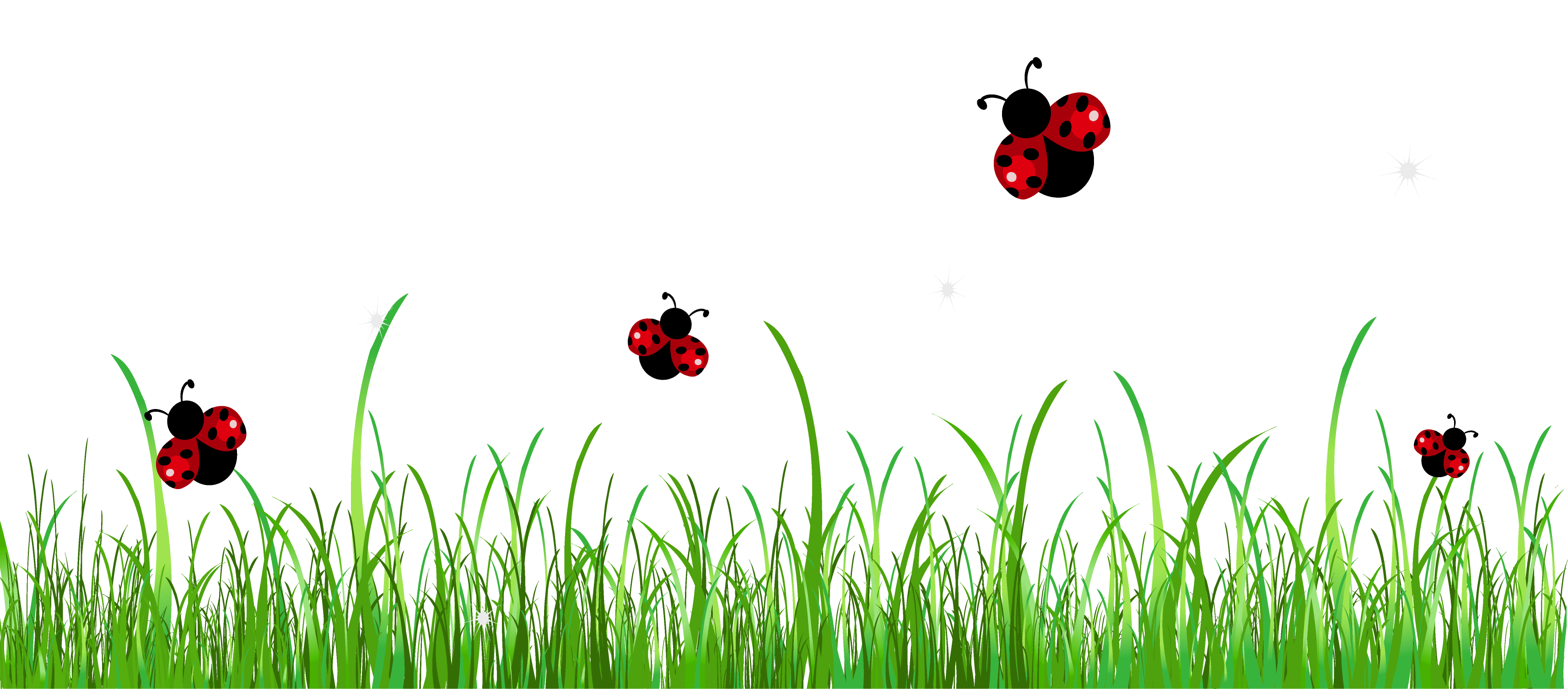 Ladybug in Grass, Sublimation, Lady Bug PNG, Insect Clipart