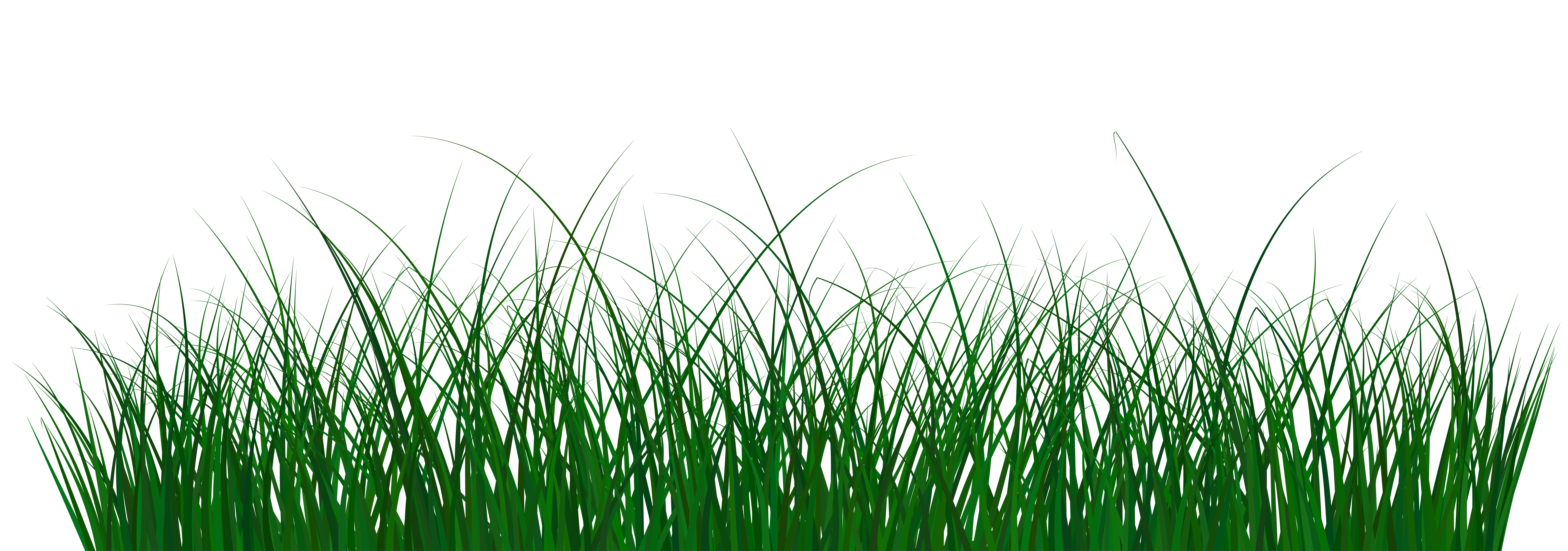 Green Grass Png Clip Art Image Gallery Yopriceville High Quality Images And Transparent Png Free Clipart